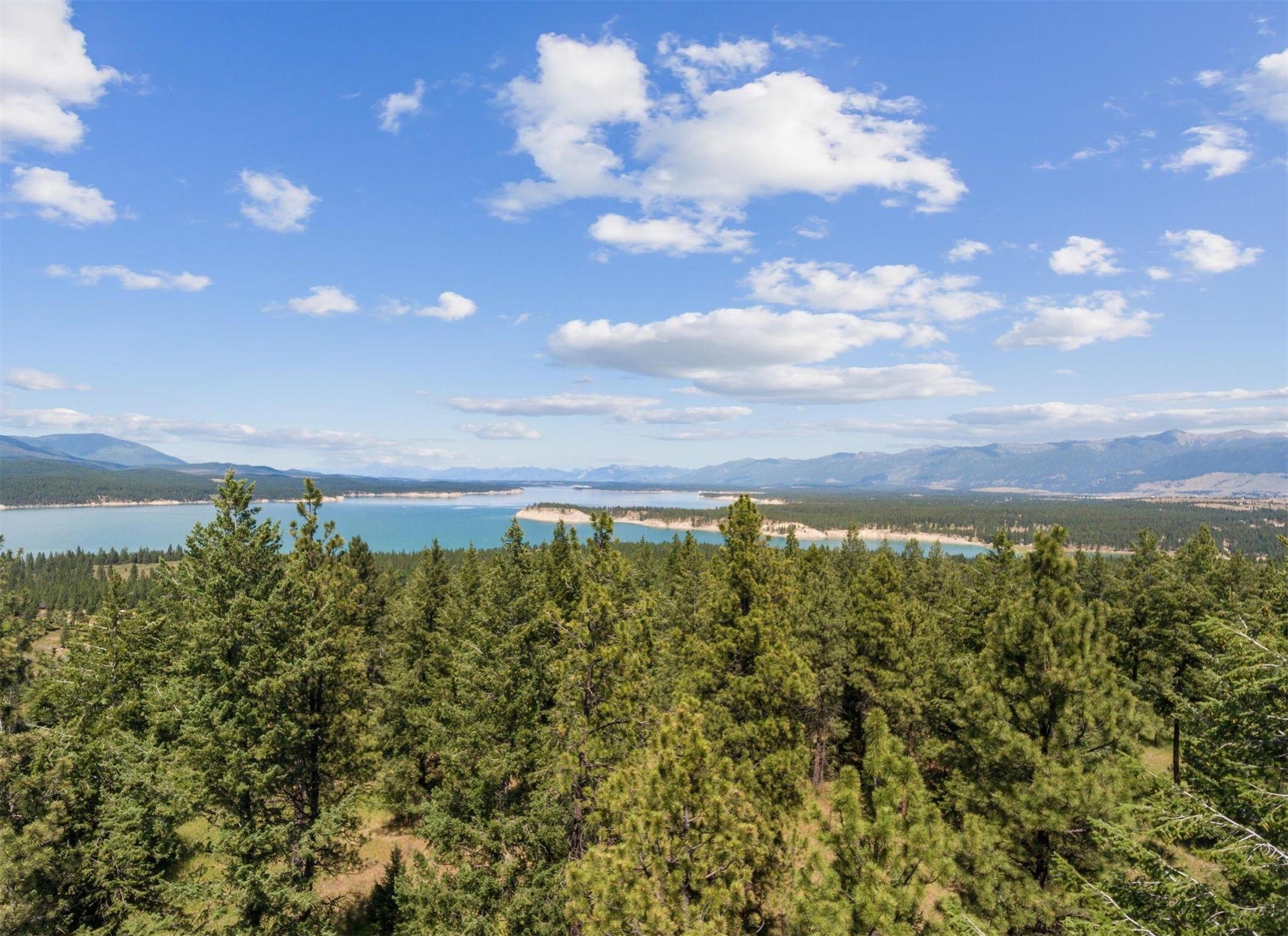 794 Bugling Elk Road