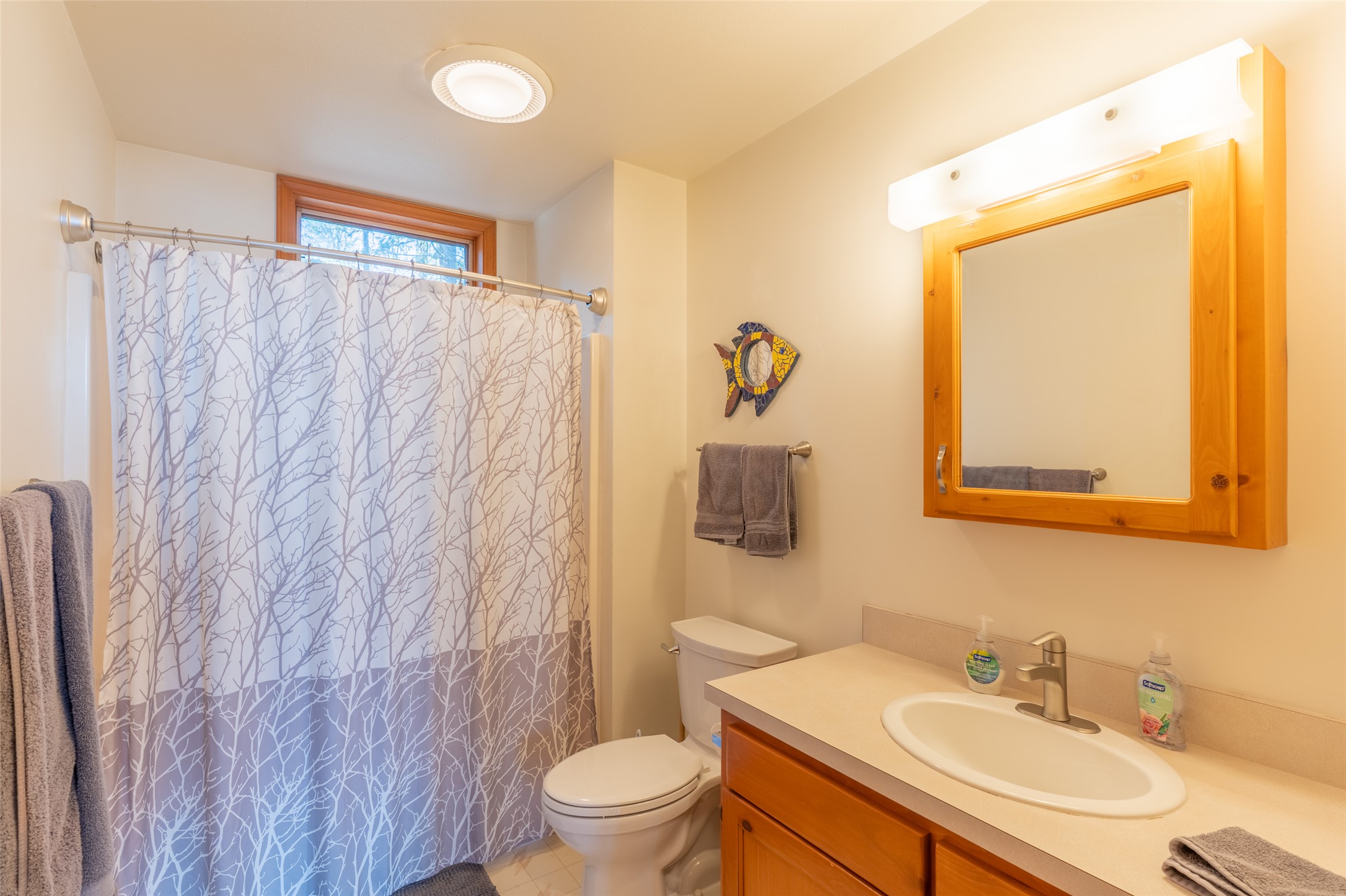 586 Apgar Loop Road
