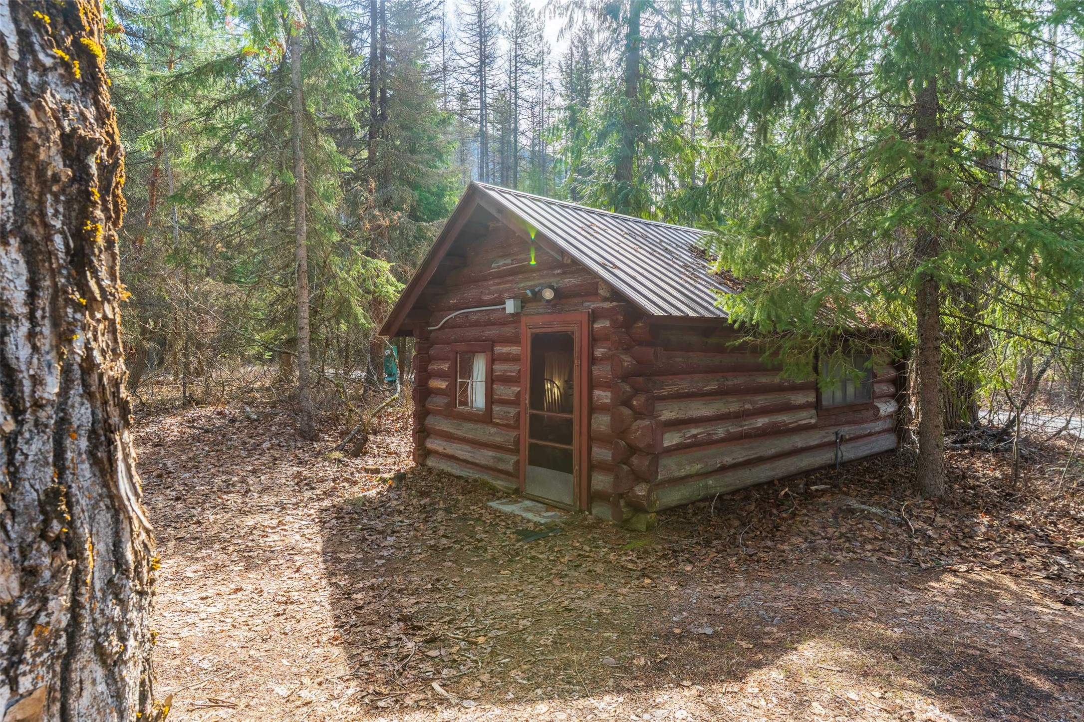 586 Apgar Loop Road