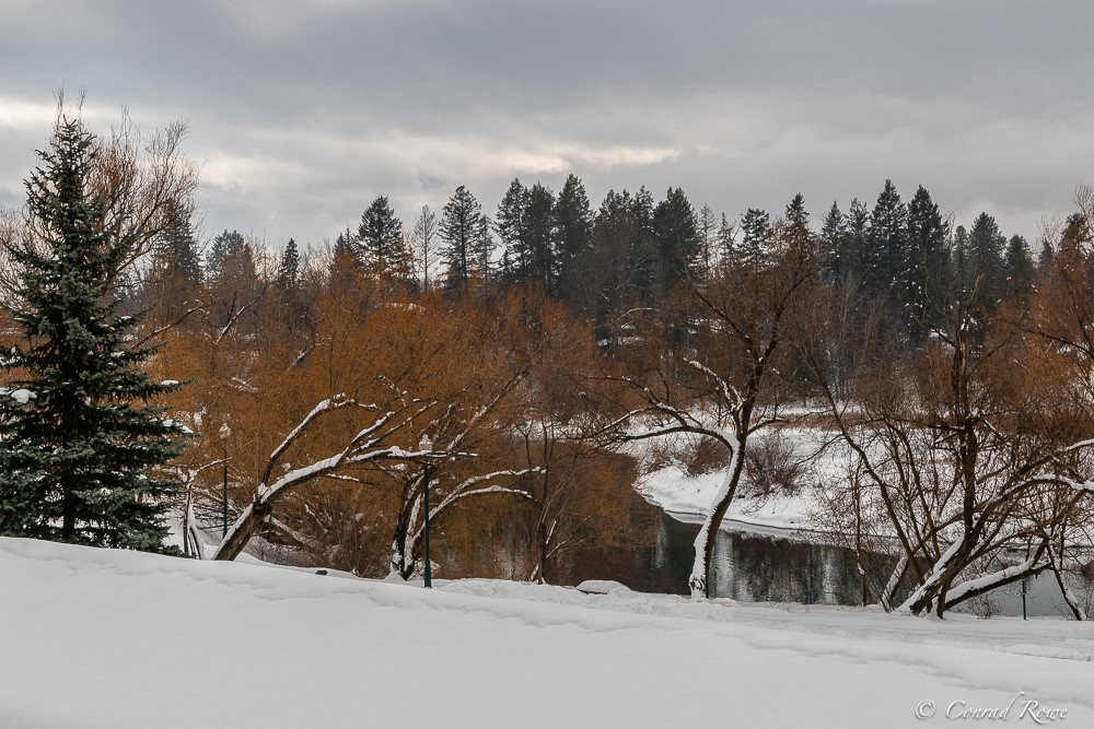 139 E 2nd Street 201