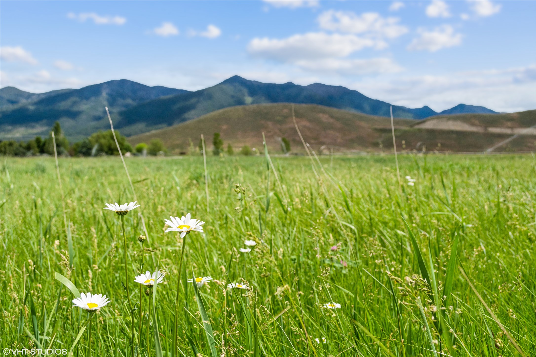 1 and 2A comstock lane