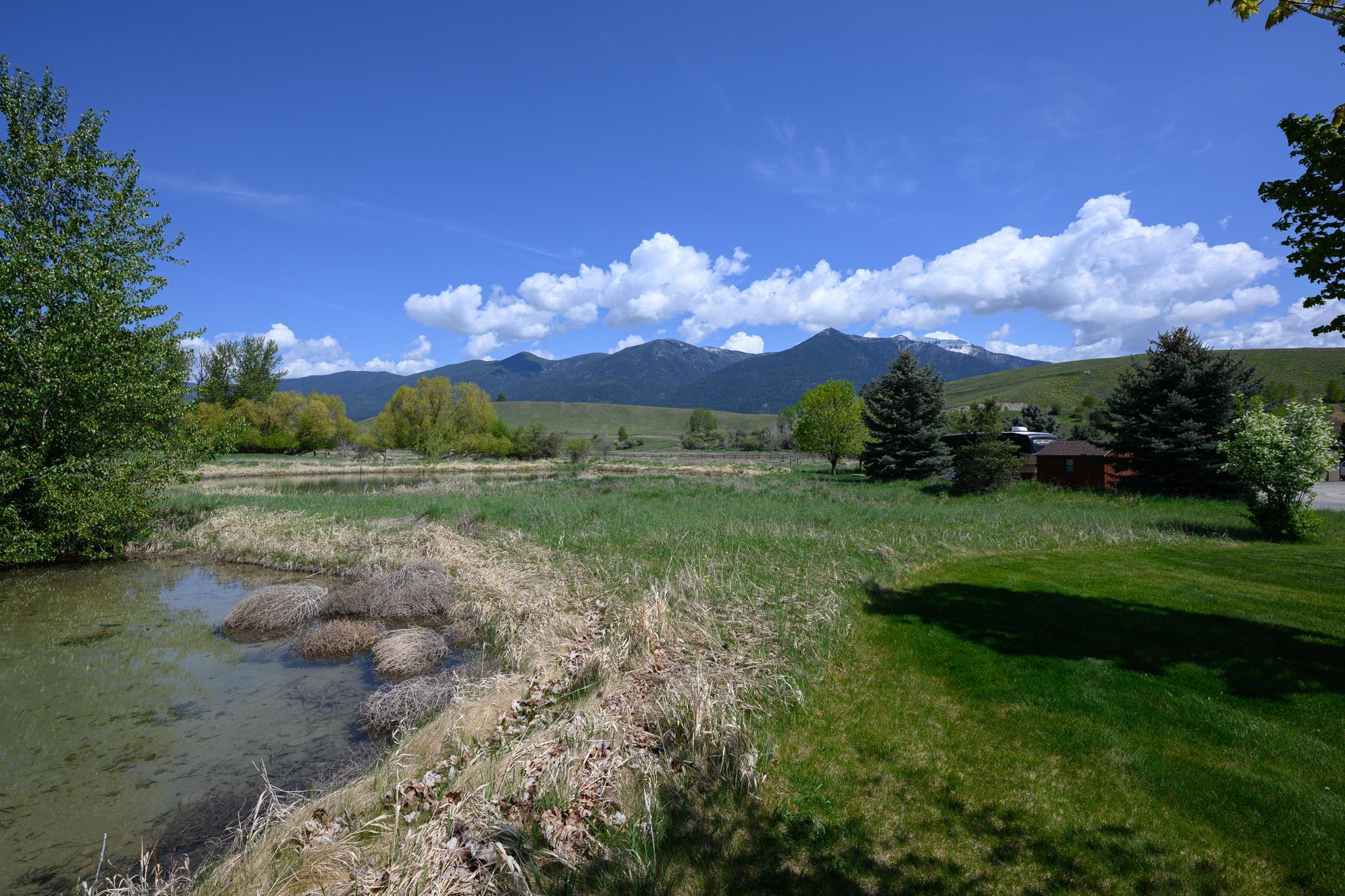 446 Kingfisher Loop