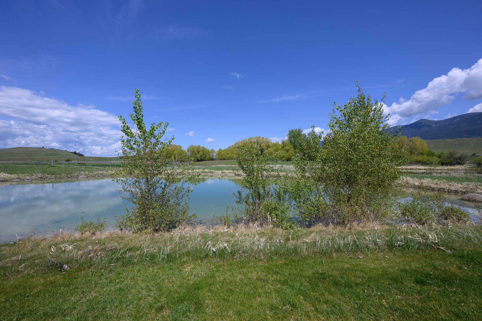 446 Kingfisher Loop