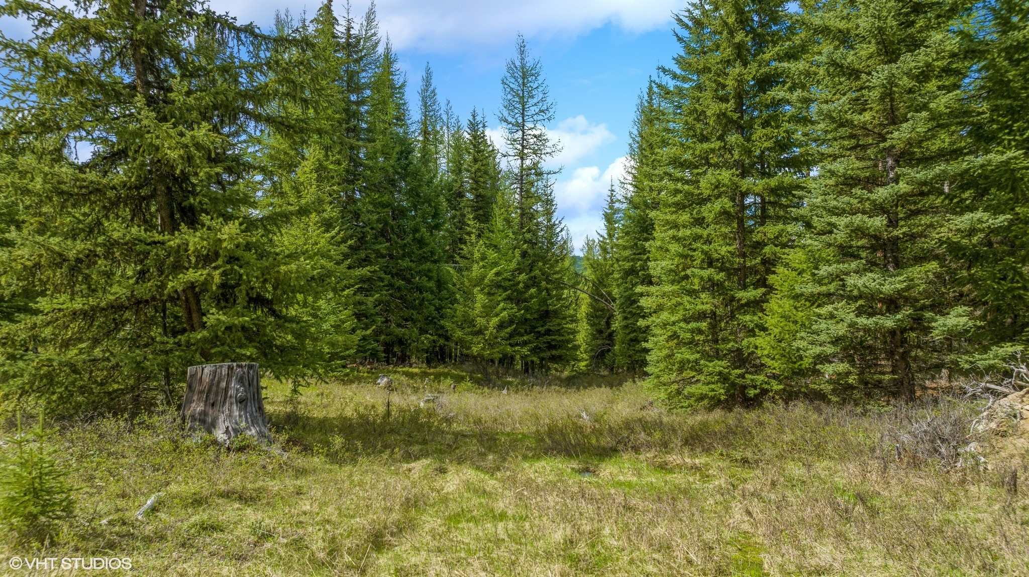 Lot 11 Tamarack Lane