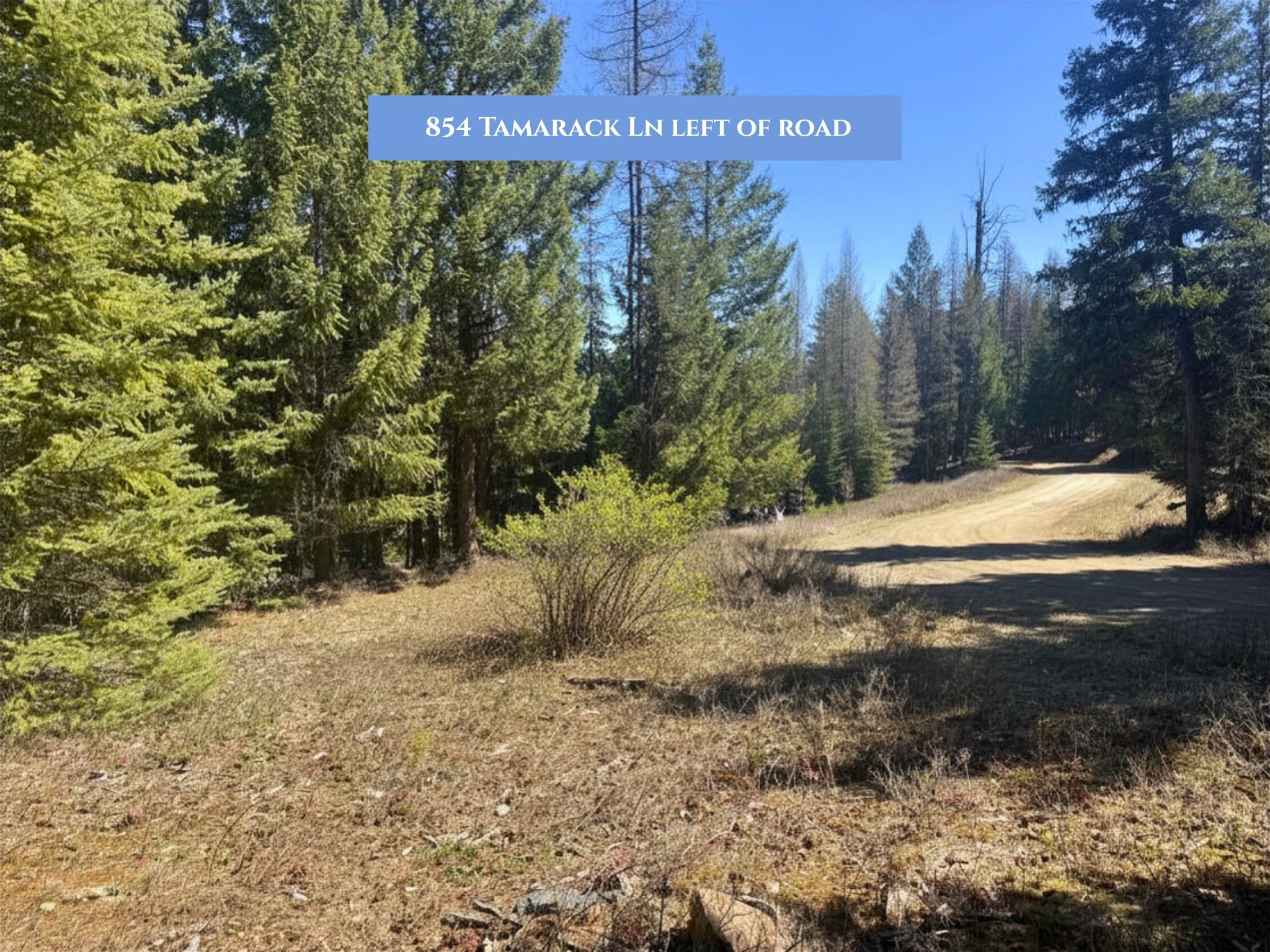 Lot 11 Tamarack Lane