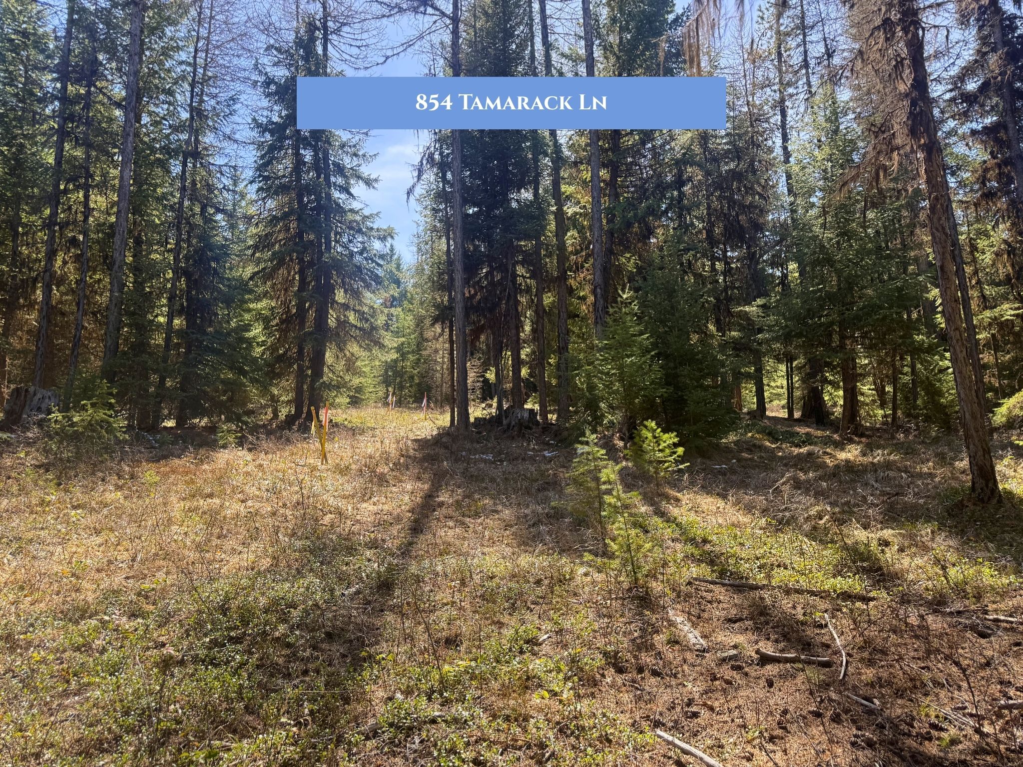 Lot 11 Tamarack Lane
