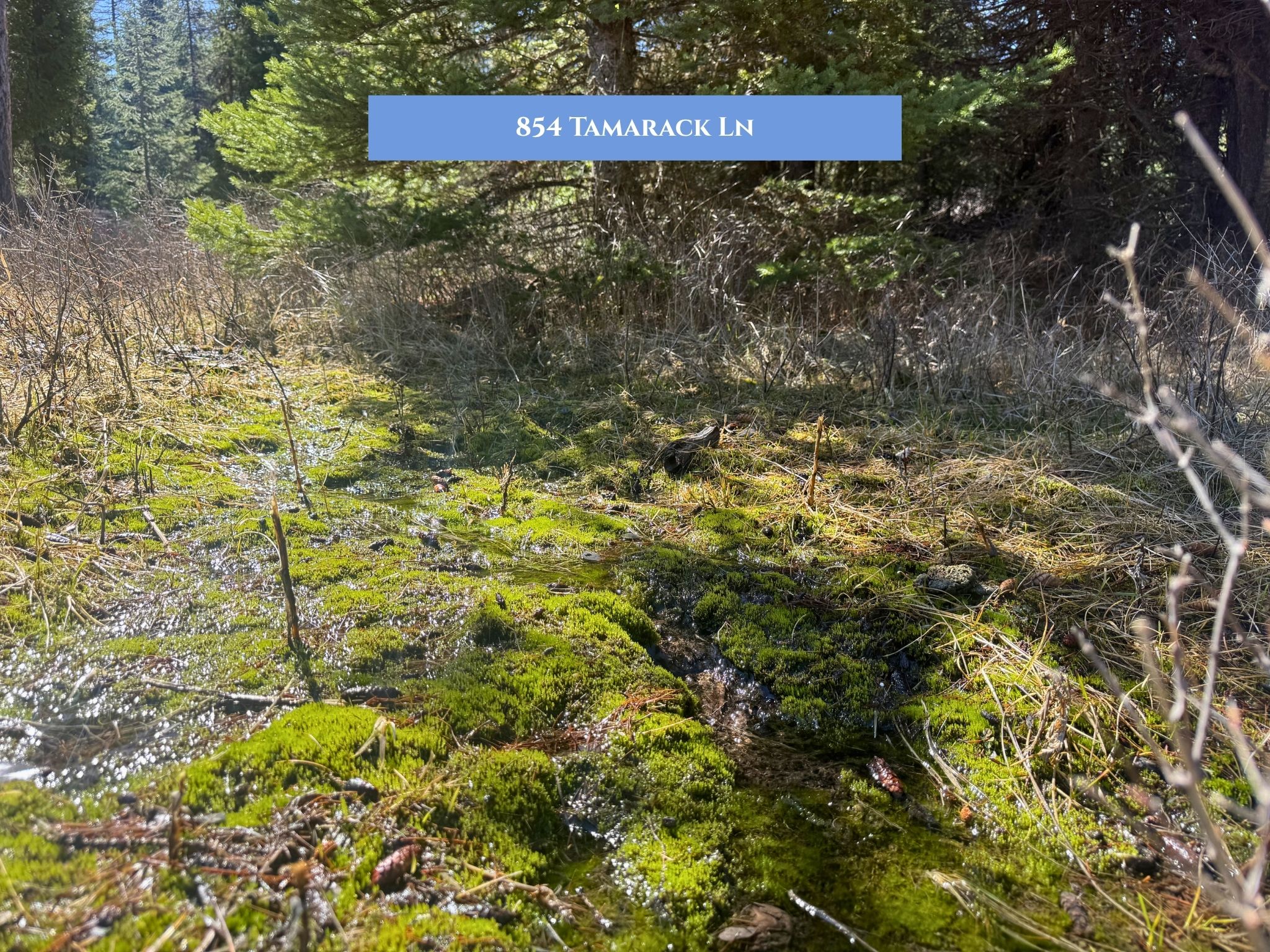 Lot 11 Tamarack Lane