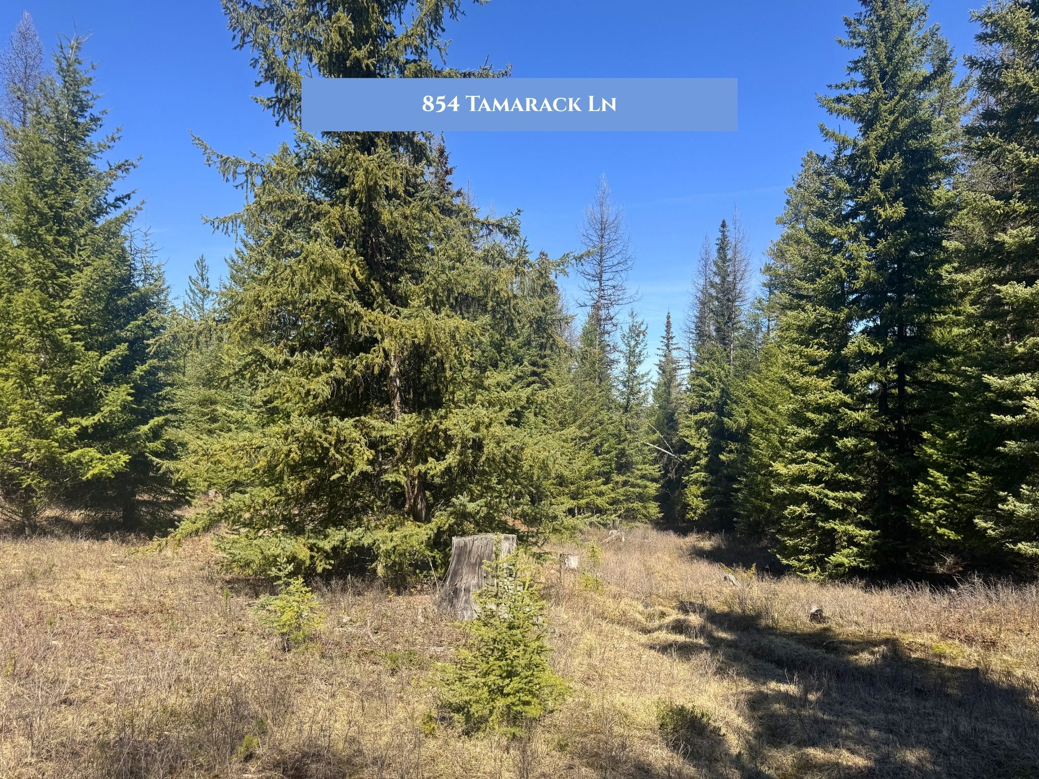 Lot 11 Tamarack Lane