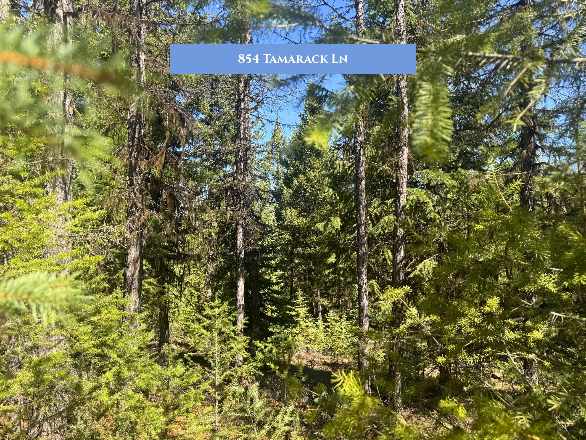 Lot 11 Tamarack Lane