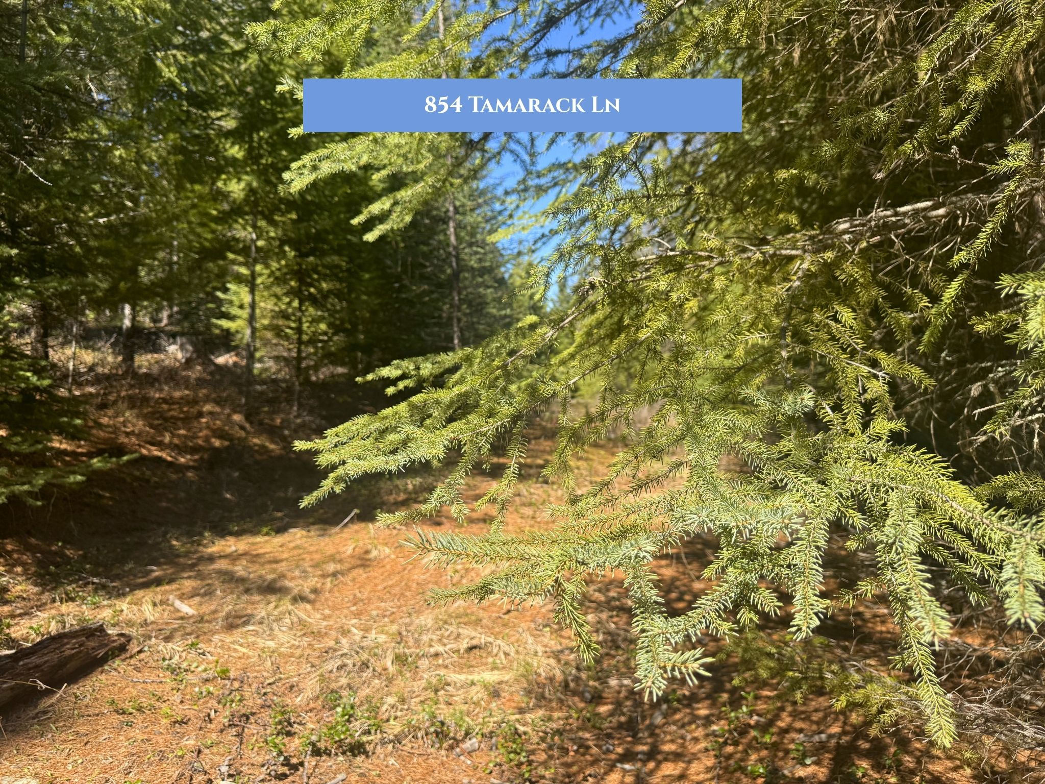 Lot 11 Tamarack Lane