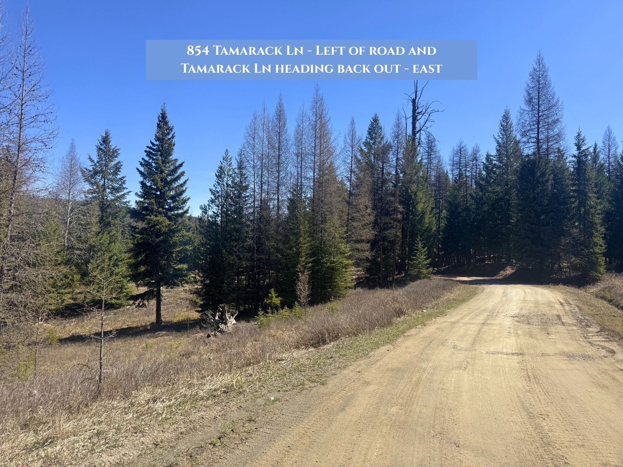 Lot 11 Tamarack Lane