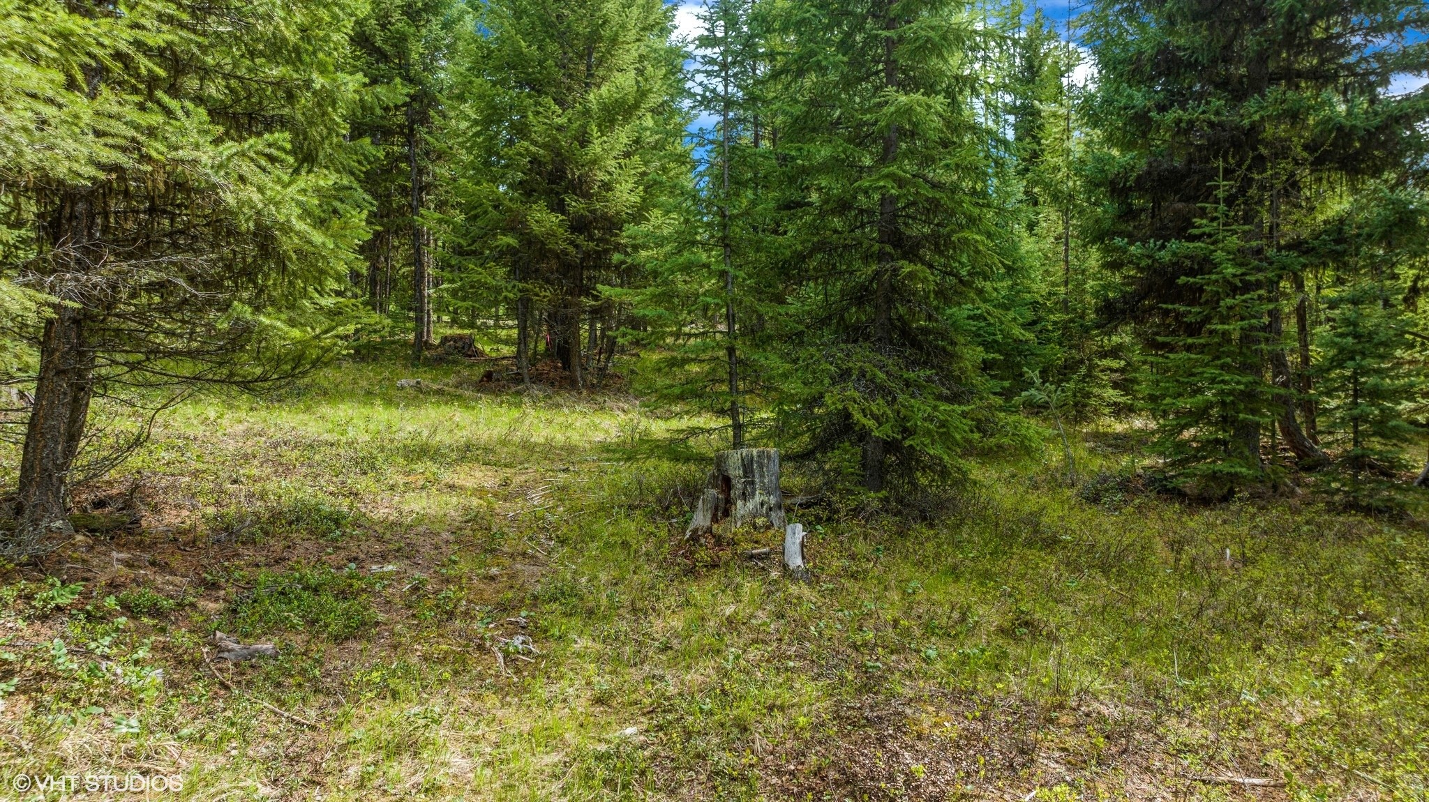 Lot 11 Tamarack Lane