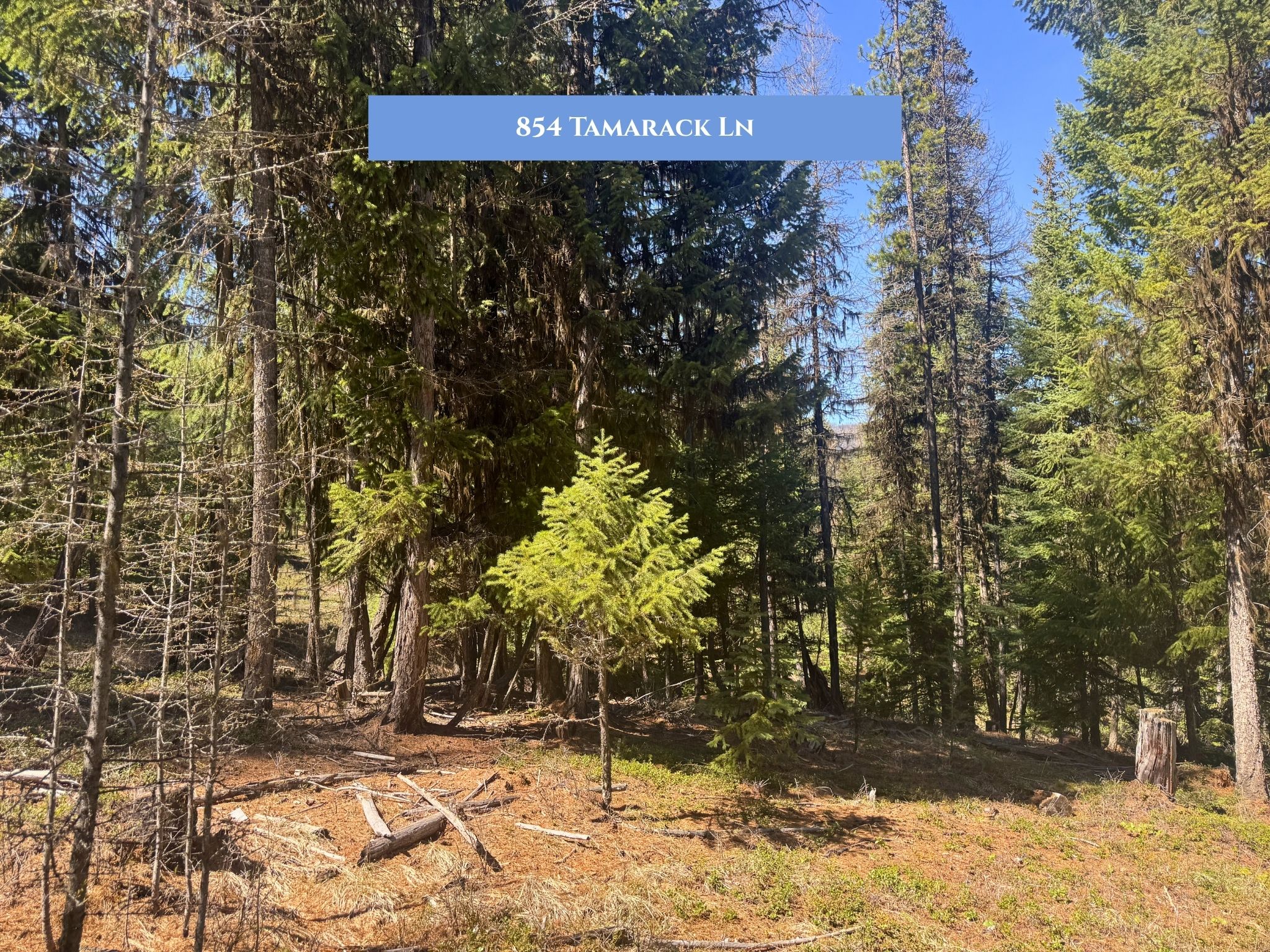 Lot 11 Tamarack Lane