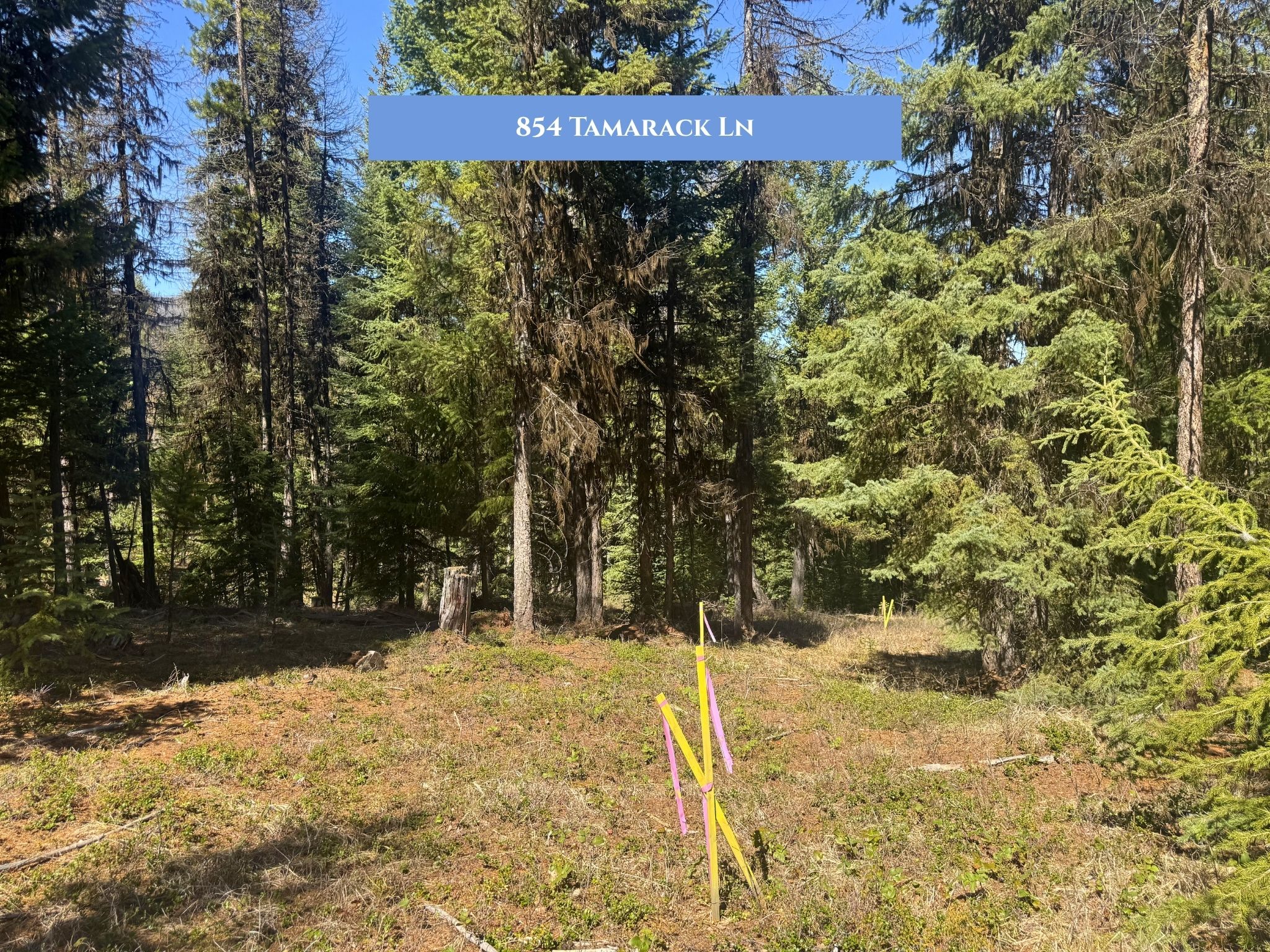 Lot 11 Tamarack Lane