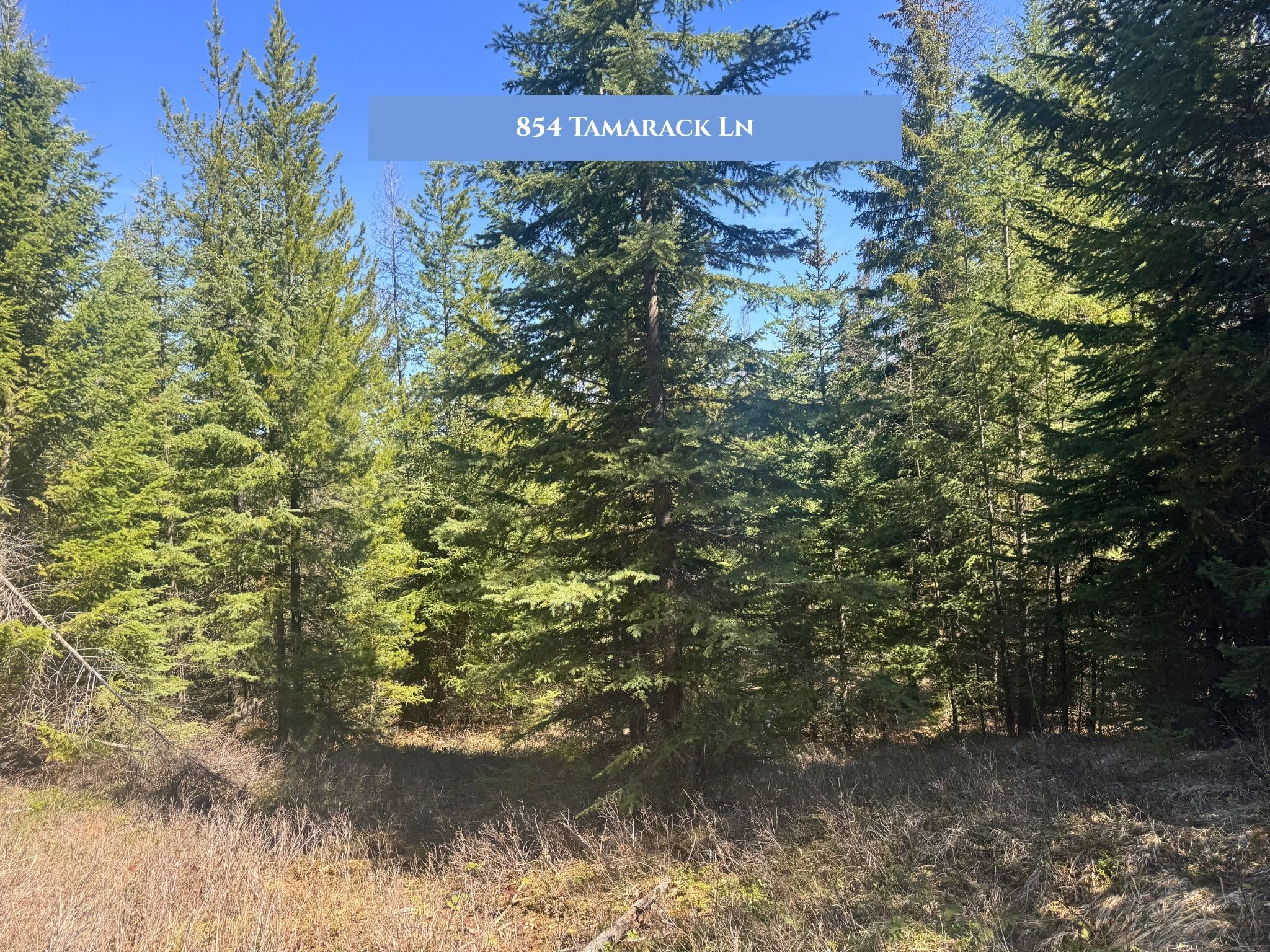 Lot 11 Tamarack Lane