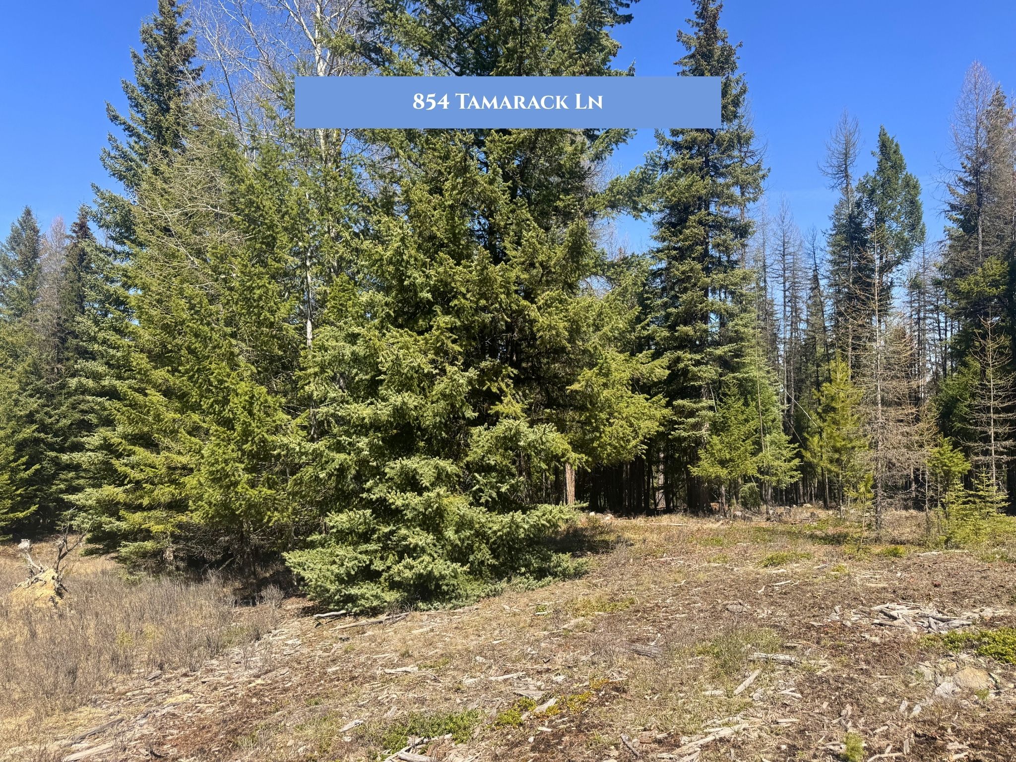 Lot 11 Tamarack Lane
