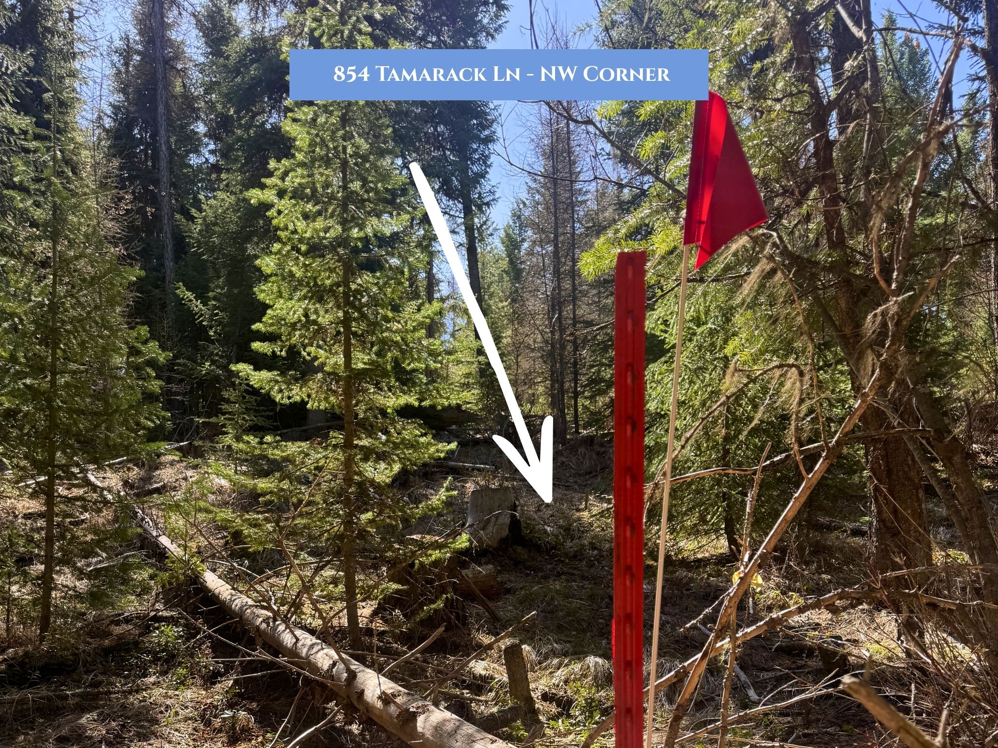 Lot 11 Tamarack Lane