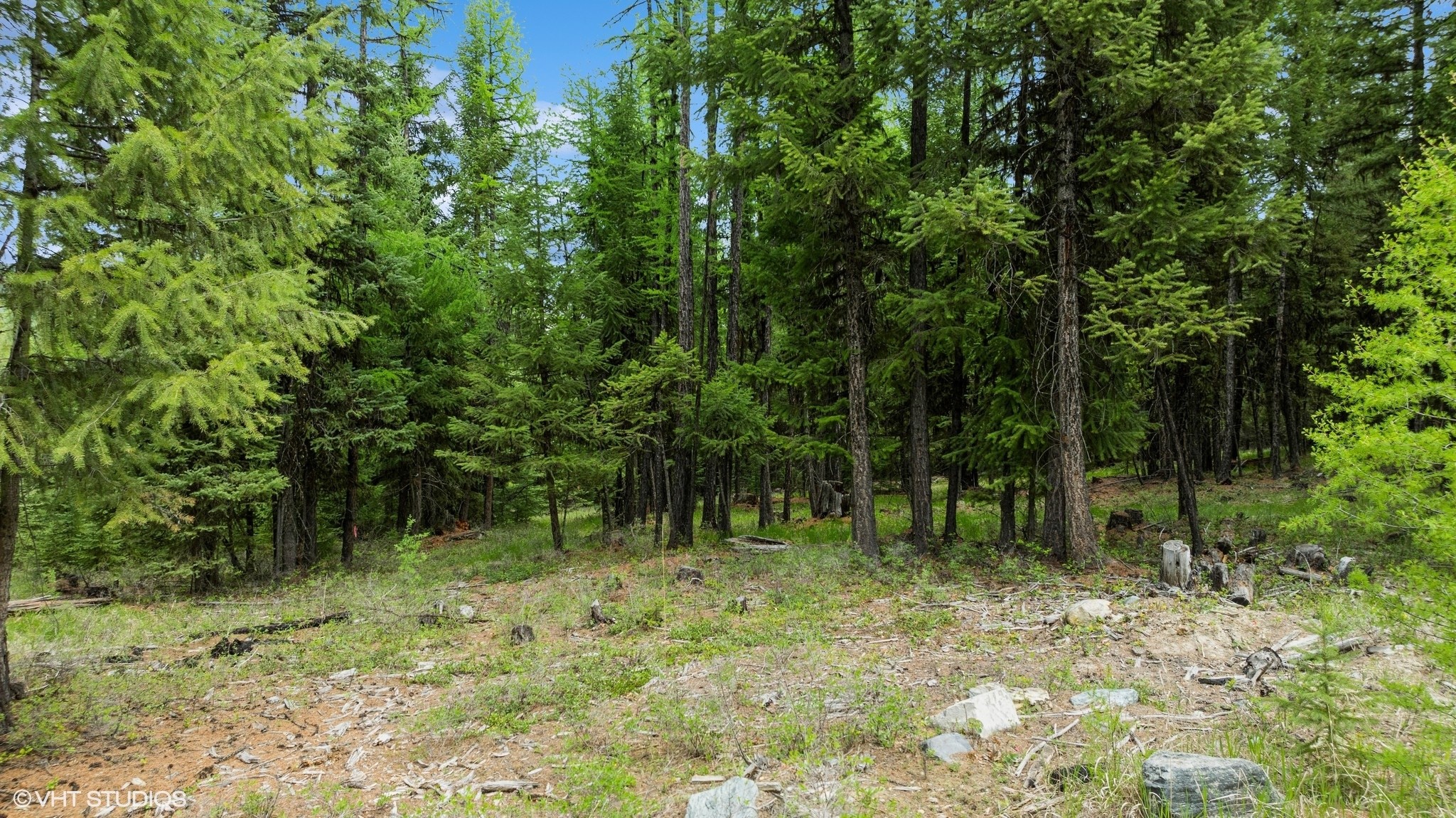 Lot 11 Tamarack Lane