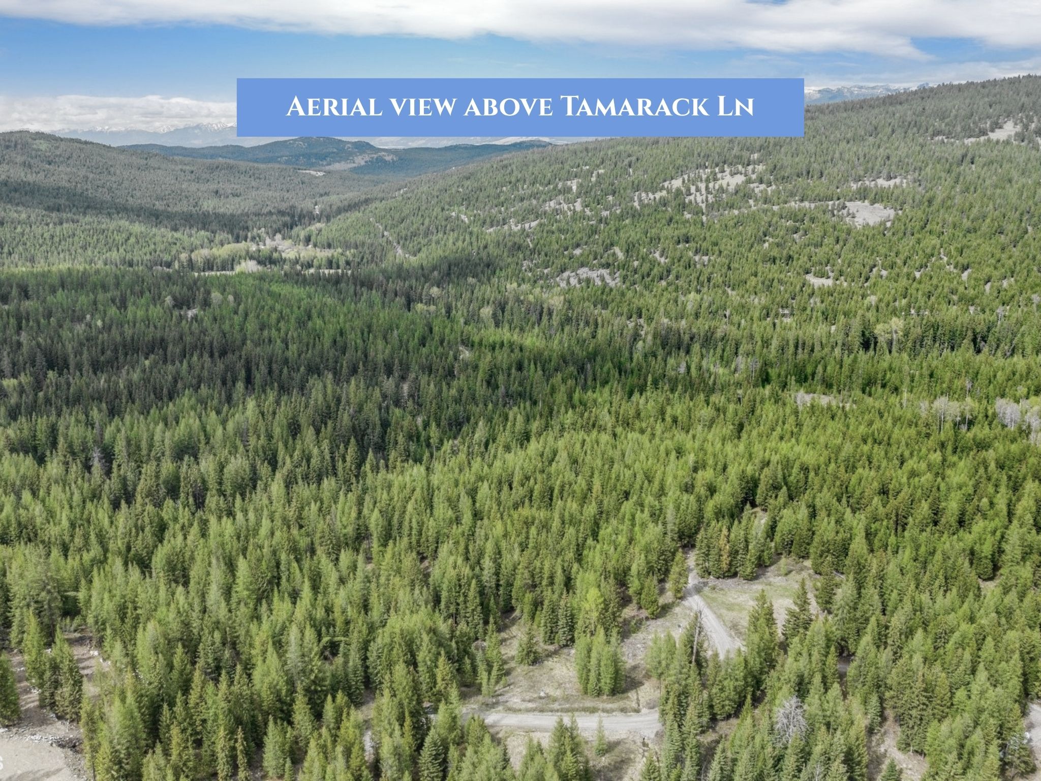 Lot 11 Tamarack Lane