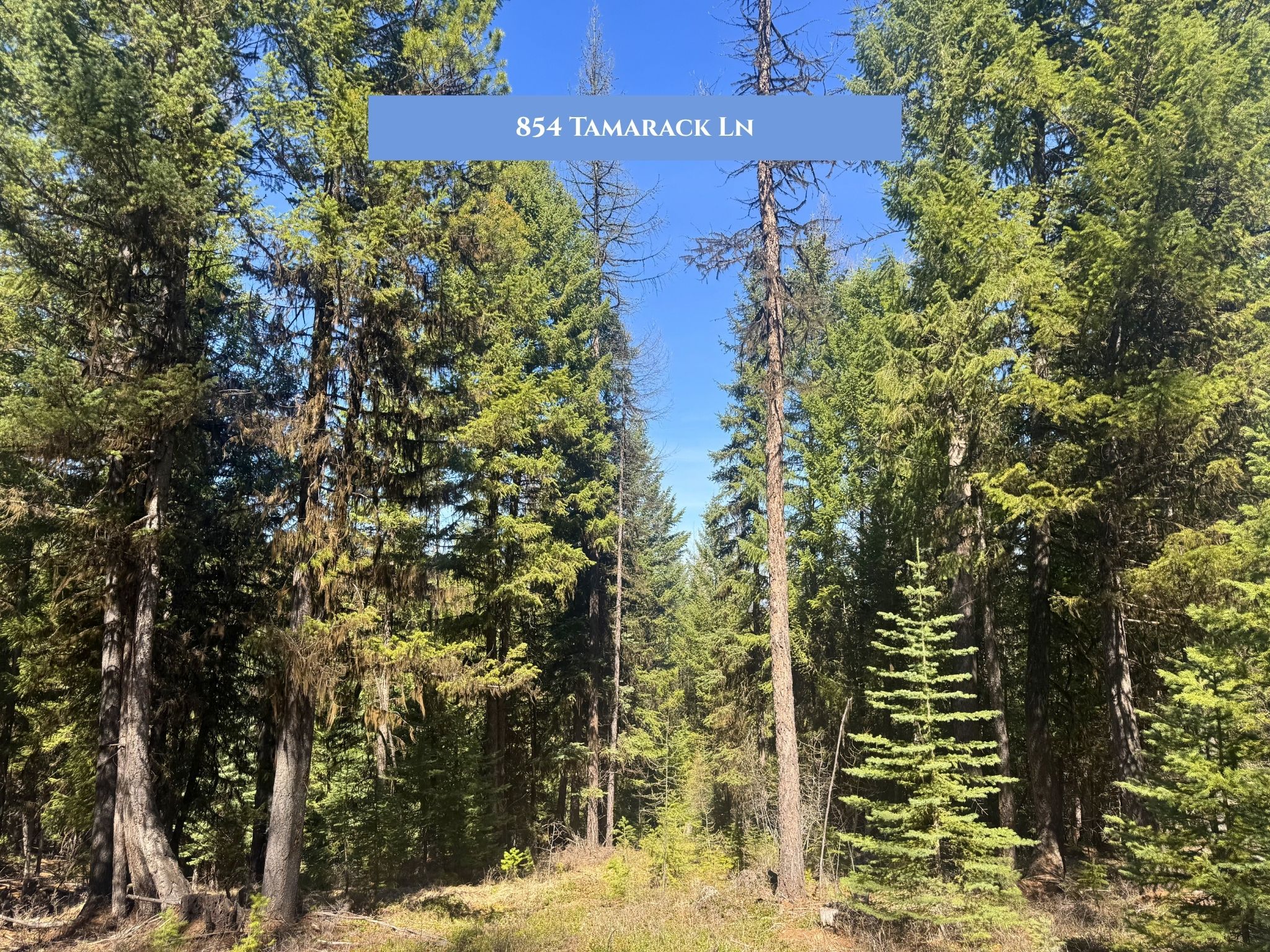 Lot 11 Tamarack Lane