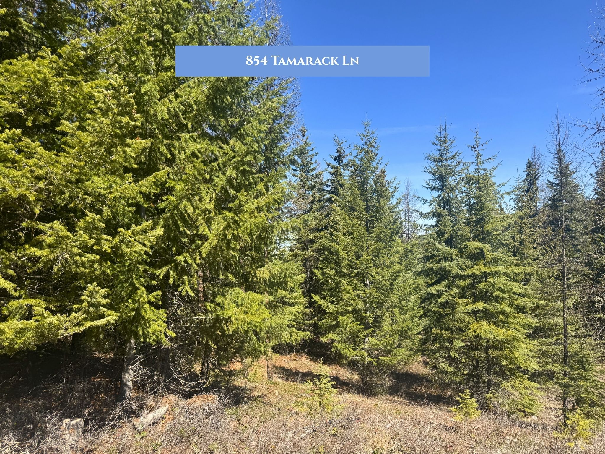 Lot 11 Tamarack Lane