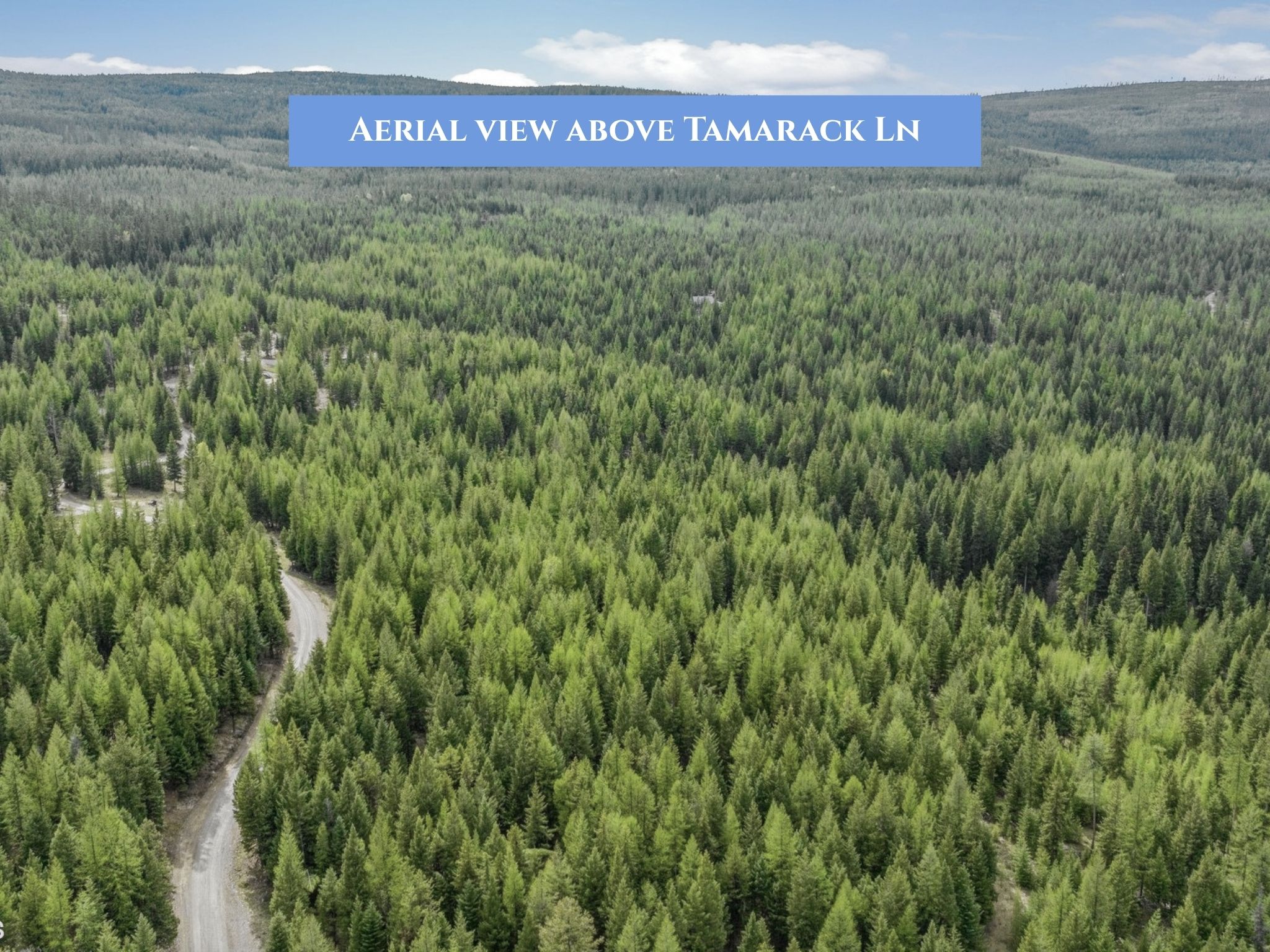 Lot 11 Tamarack Lane