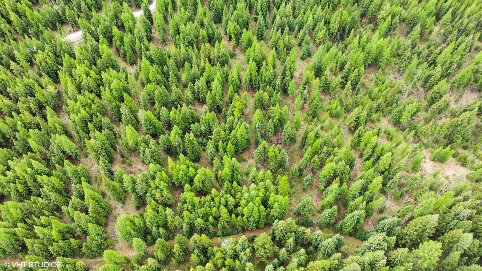 Lot 11 Tamarack Lane