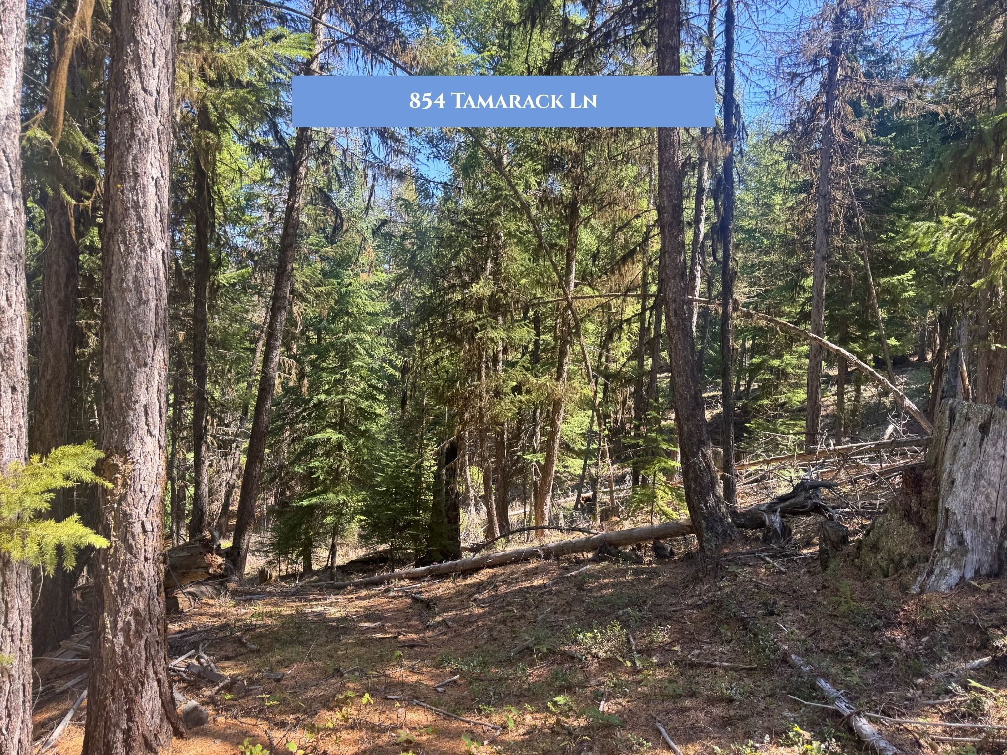 Lot 11 Tamarack Lane
