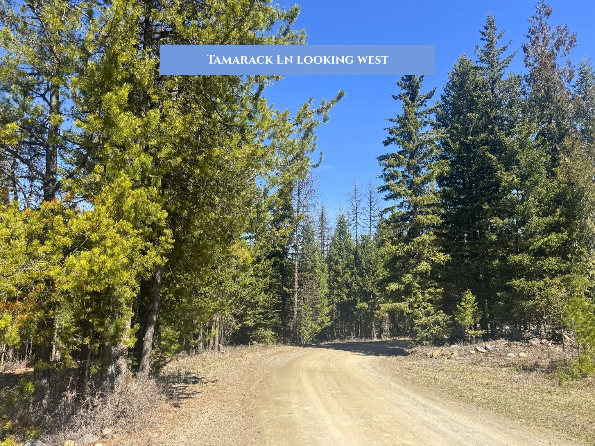 Lot 11 Tamarack Lane