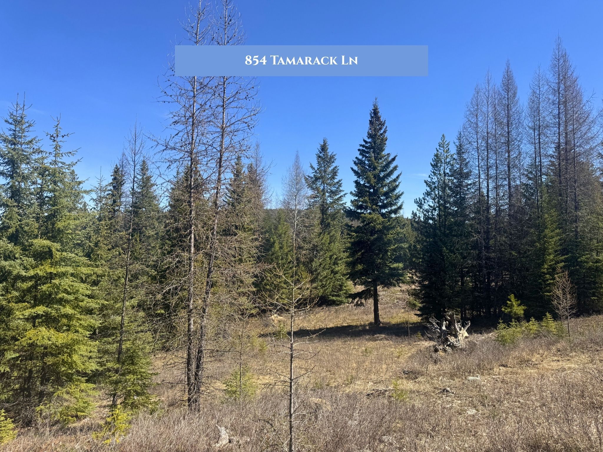 Lot 11 Tamarack Lane