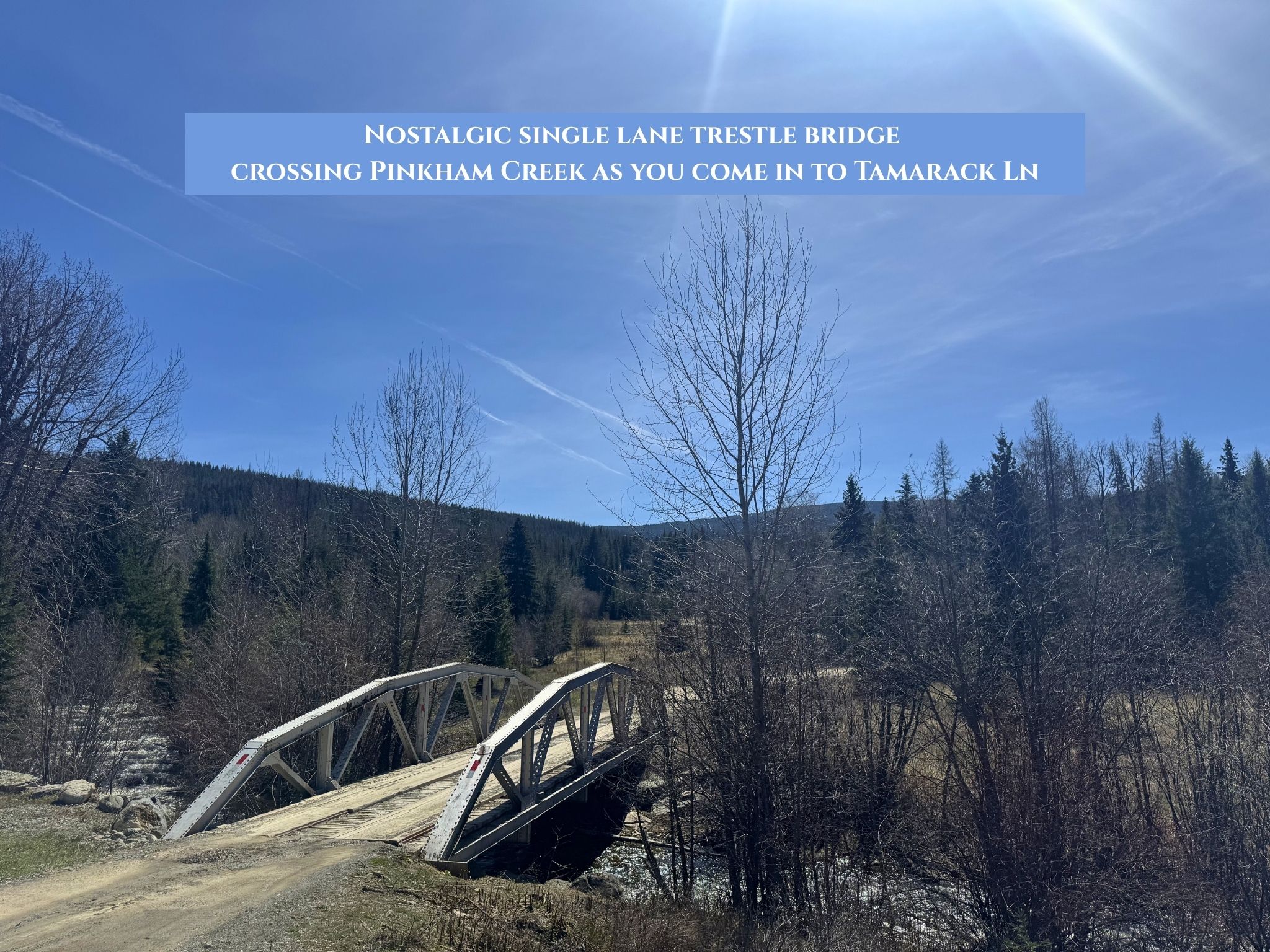 Lot 11 Tamarack Lane