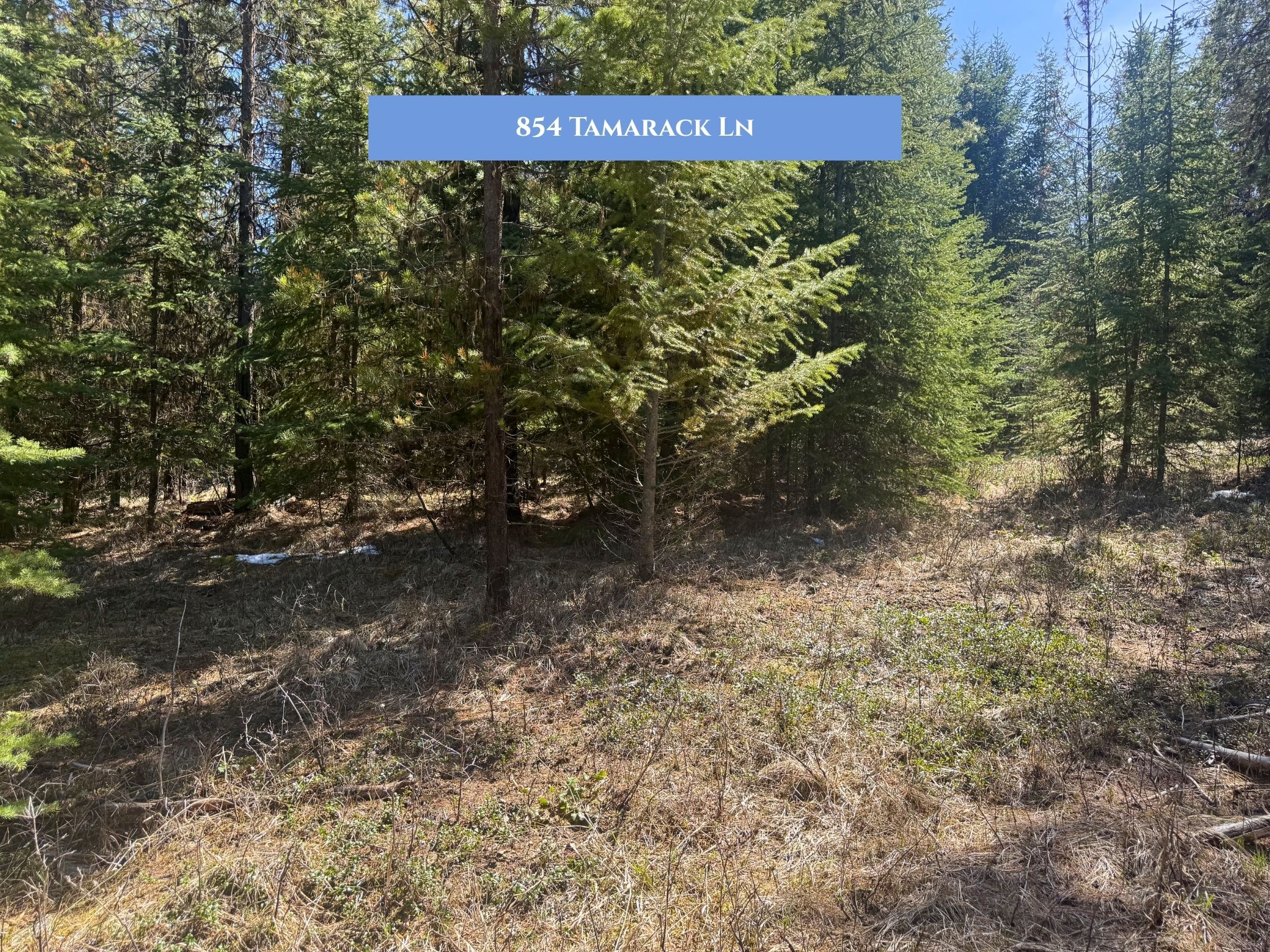 Lot 11 Tamarack Lane