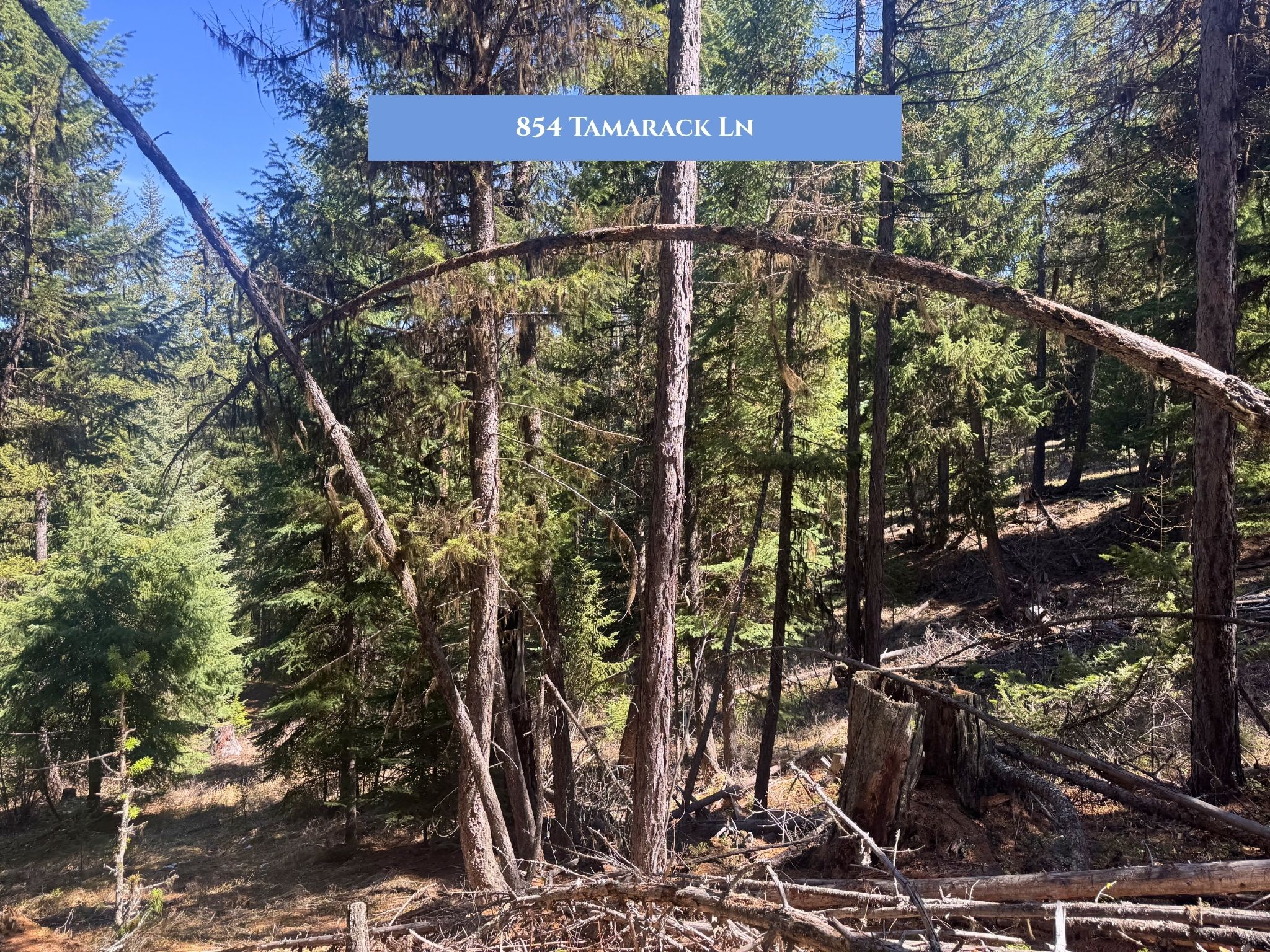 Lot 11 Tamarack Lane