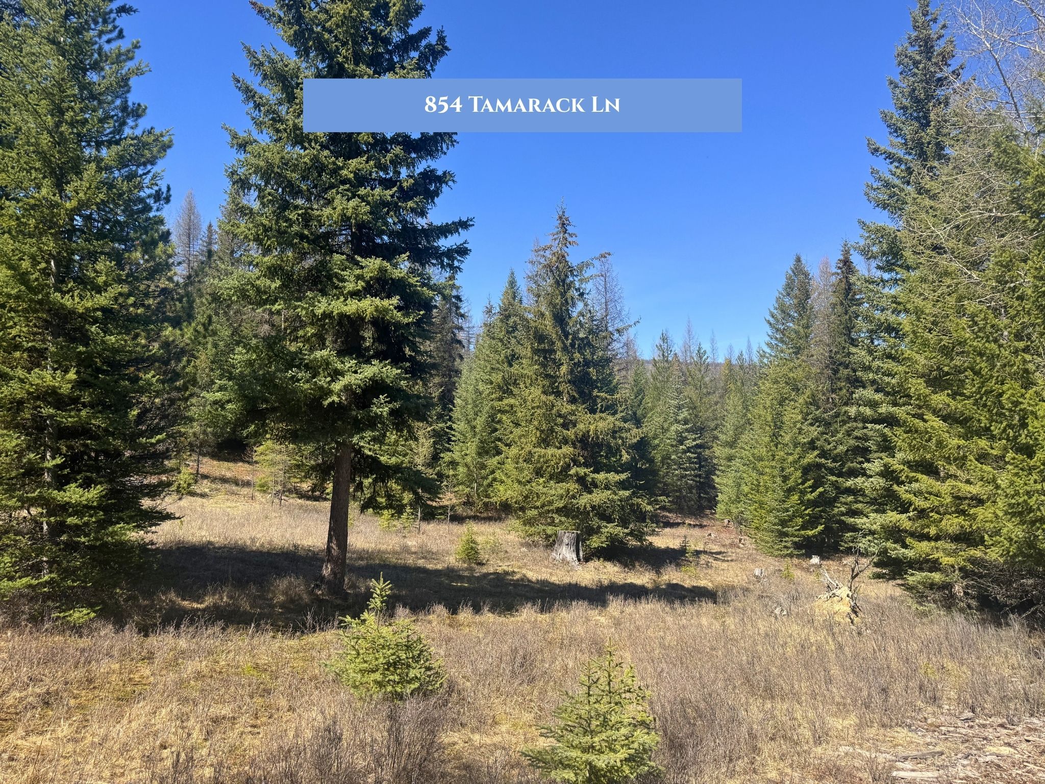 Lot 11 Tamarack Lane
