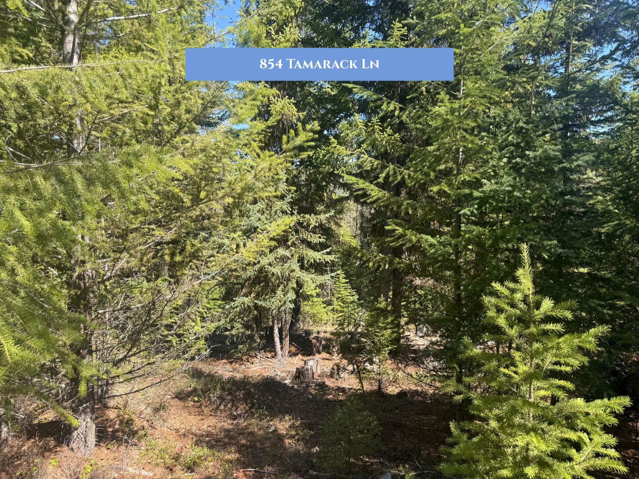 Lot 11 Tamarack Lane