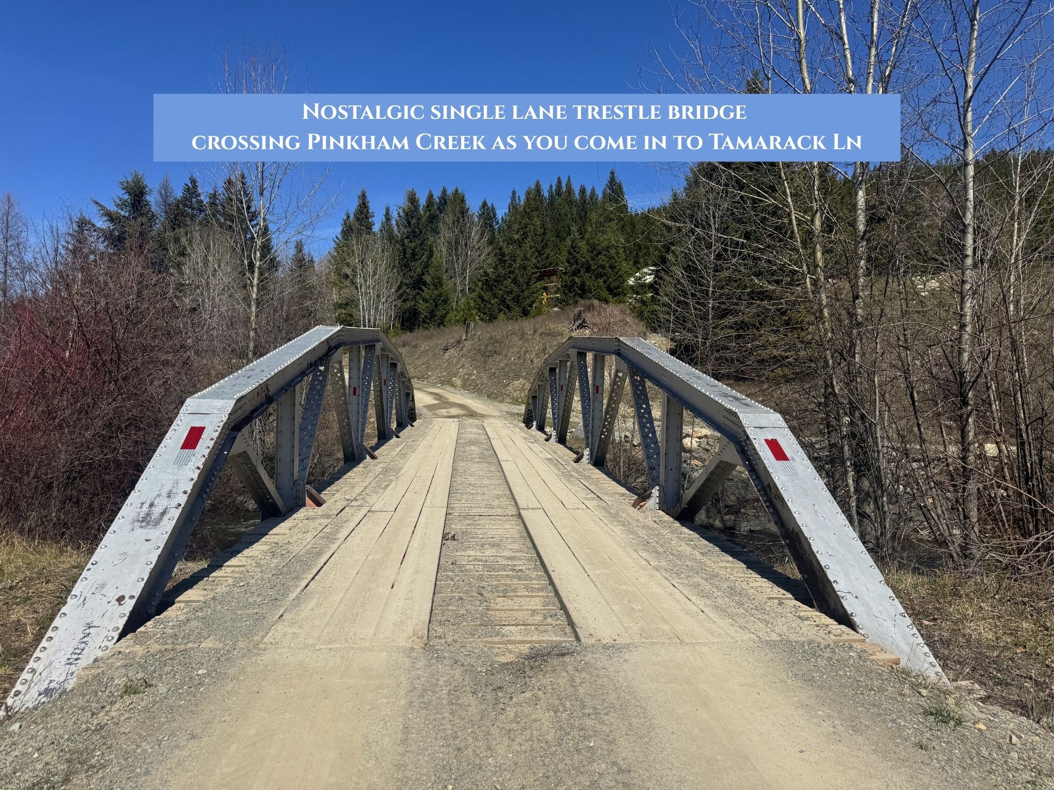 Lot 11 Tamarack Lane