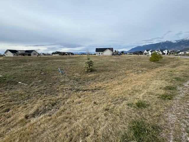 415 Jefferson Street