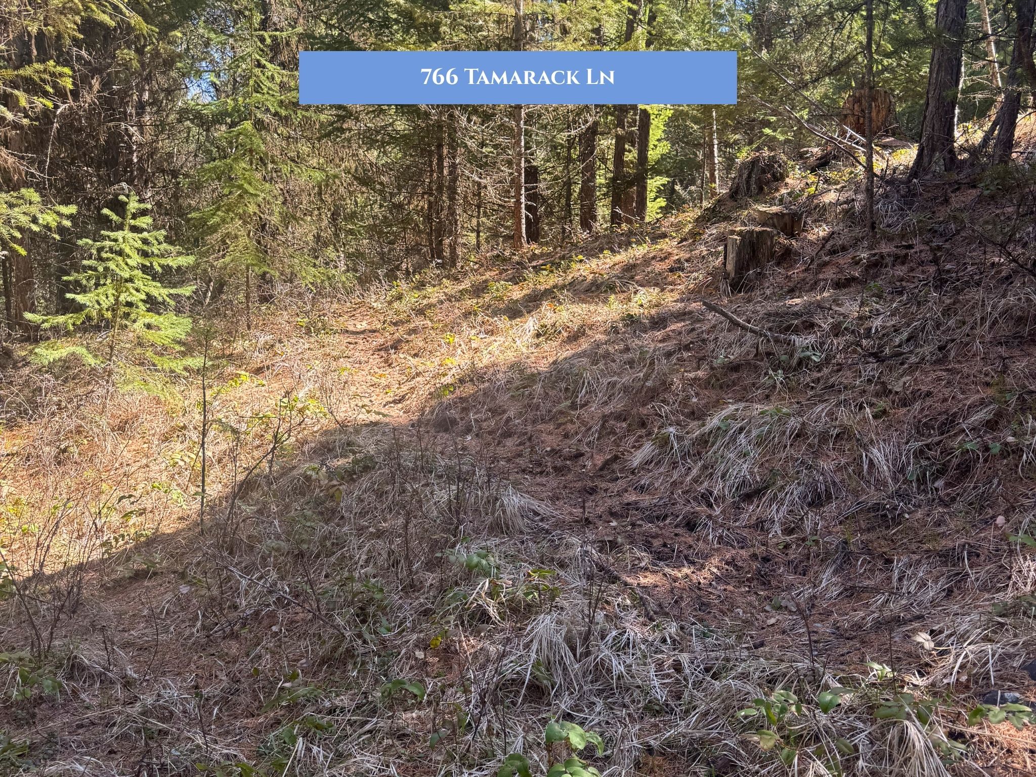 Lot 14 Tamarack Lane