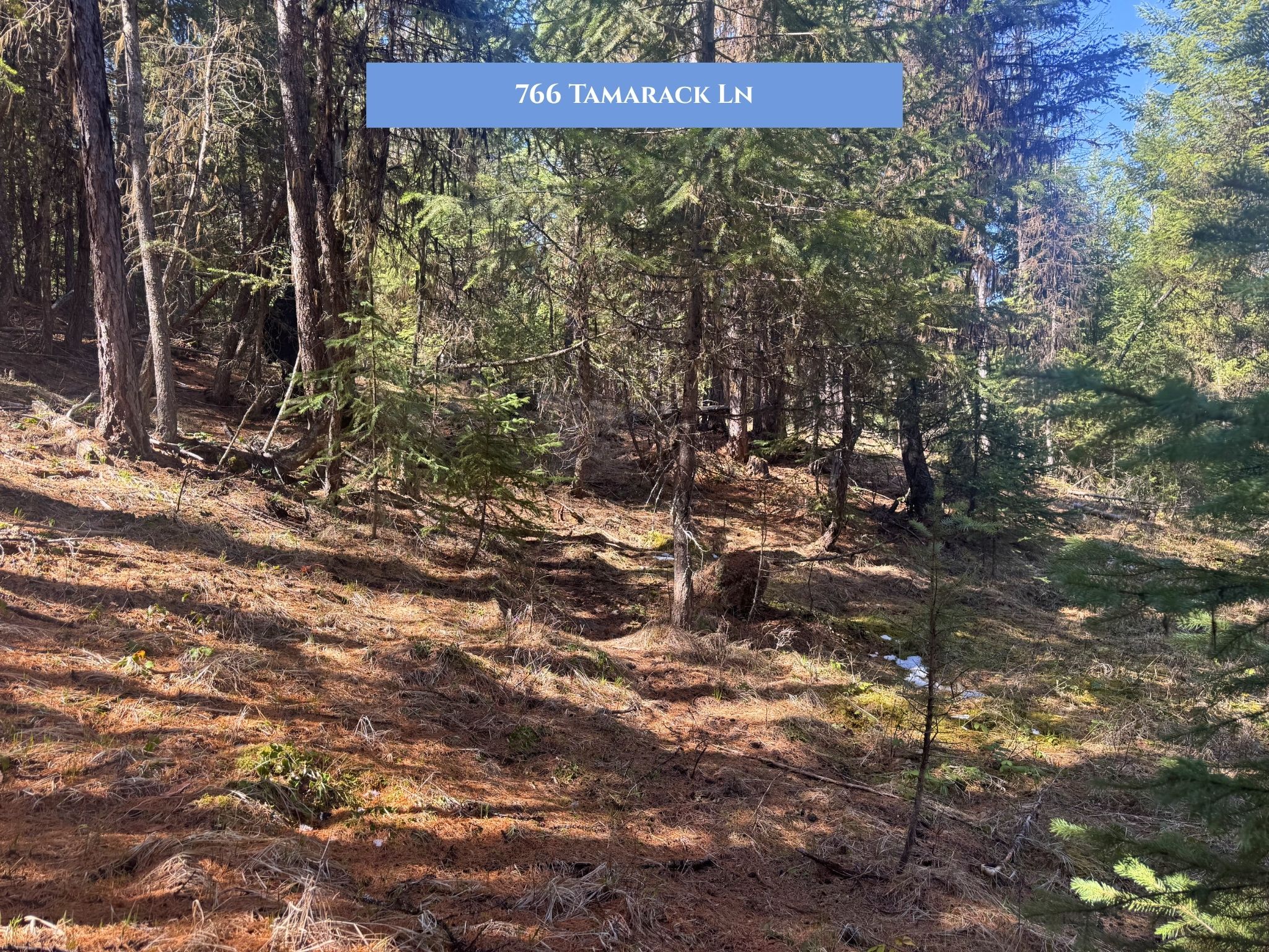Lot 14 Tamarack Lane