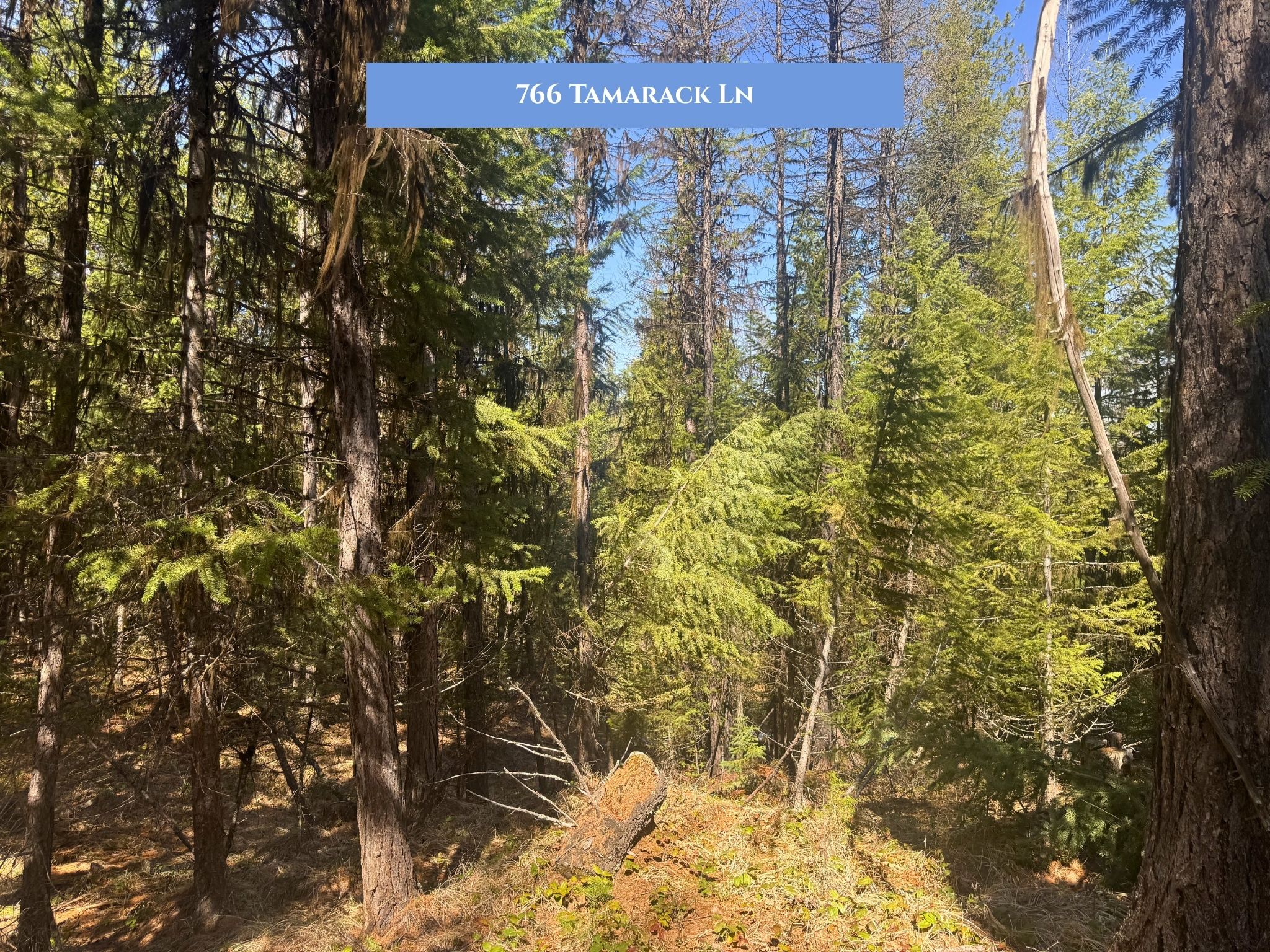 Lot 14 Tamarack Lane