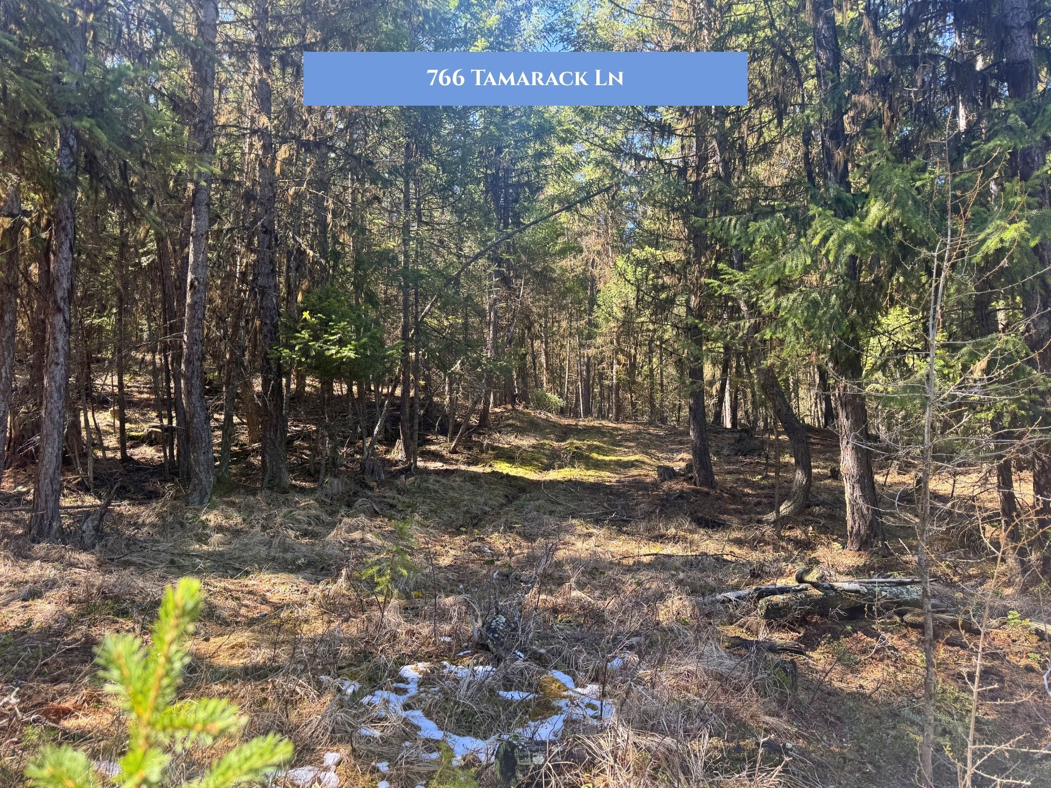 Lot 14 Tamarack Lane