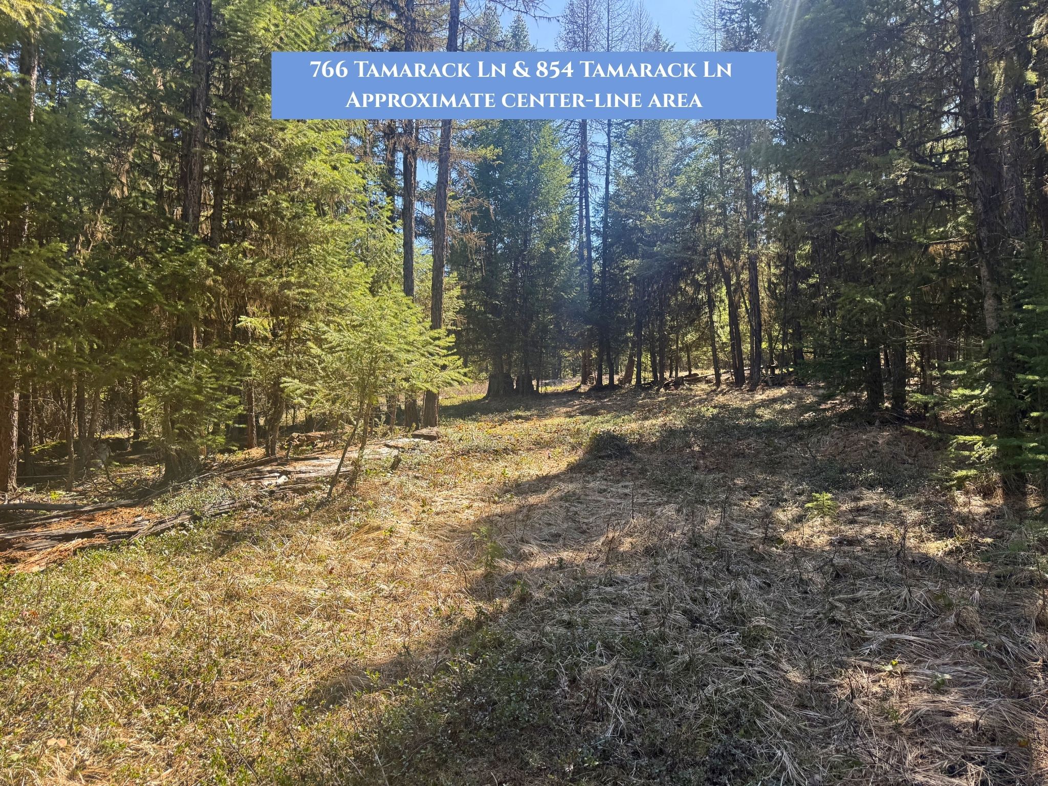 Lot 14 Tamarack Lane