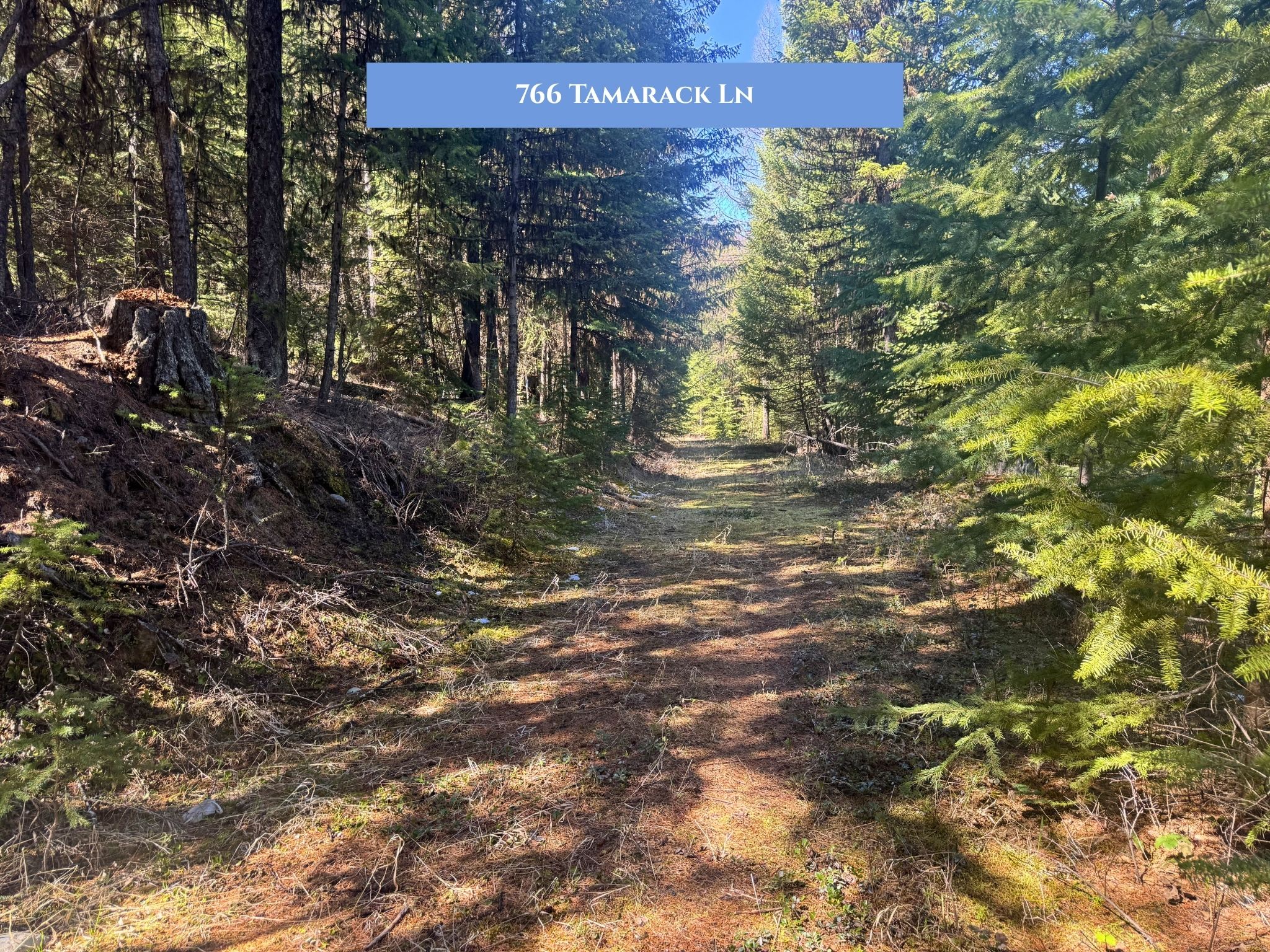 Lot 14 Tamarack Lane