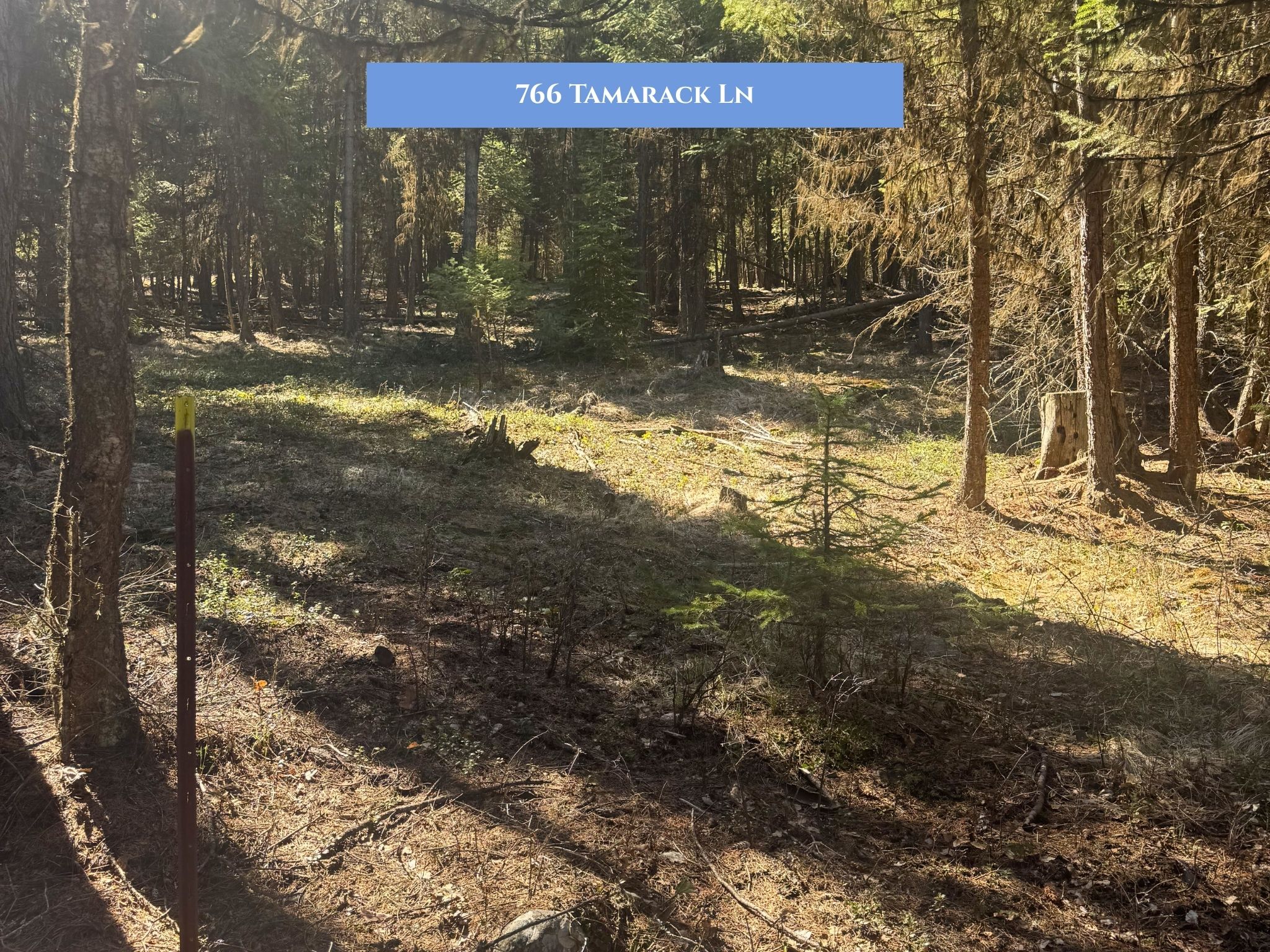Lot 14 Tamarack Lane
