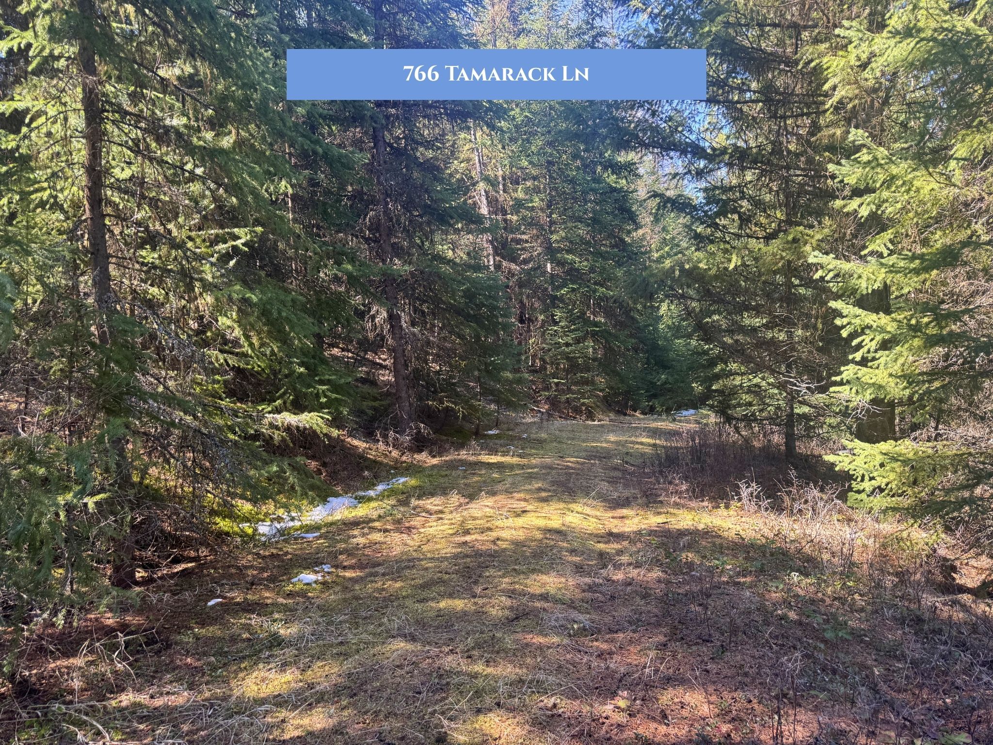 Lot 14 Tamarack Lane