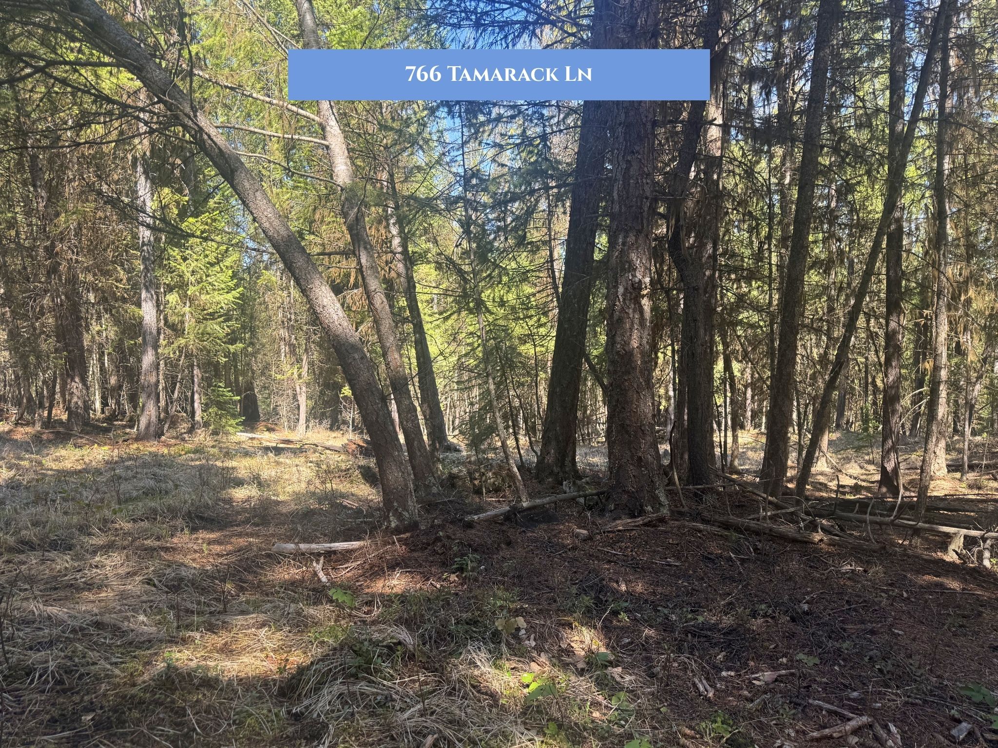 Lot 14 Tamarack Lane