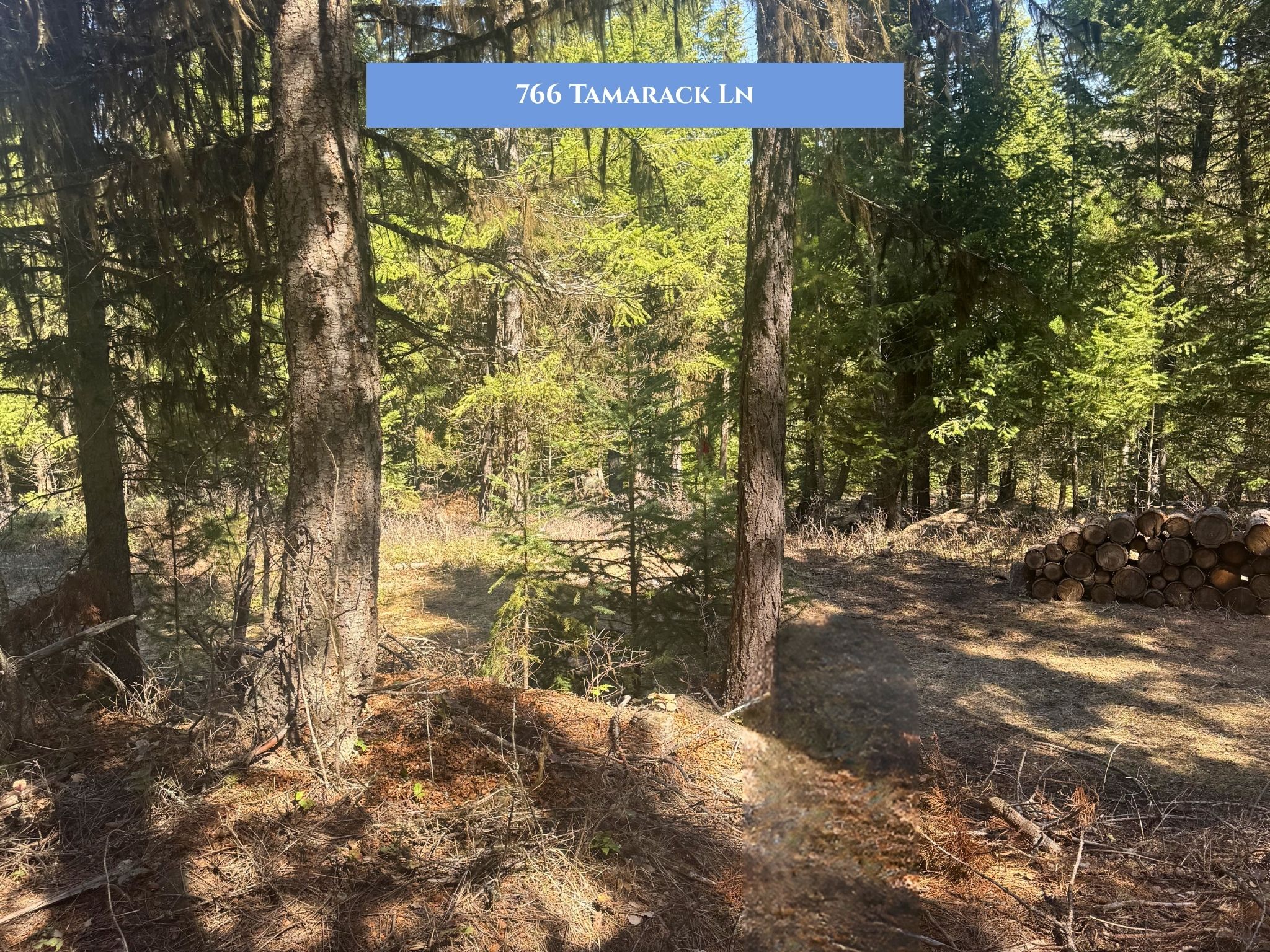 Lot 14 Tamarack Lane