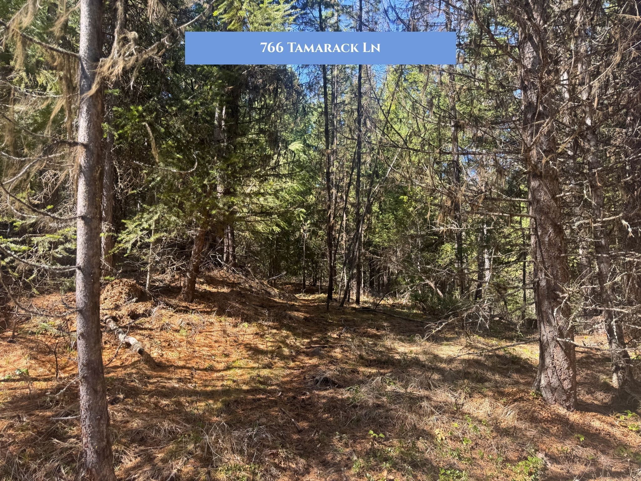 Lot 14 Tamarack Lane