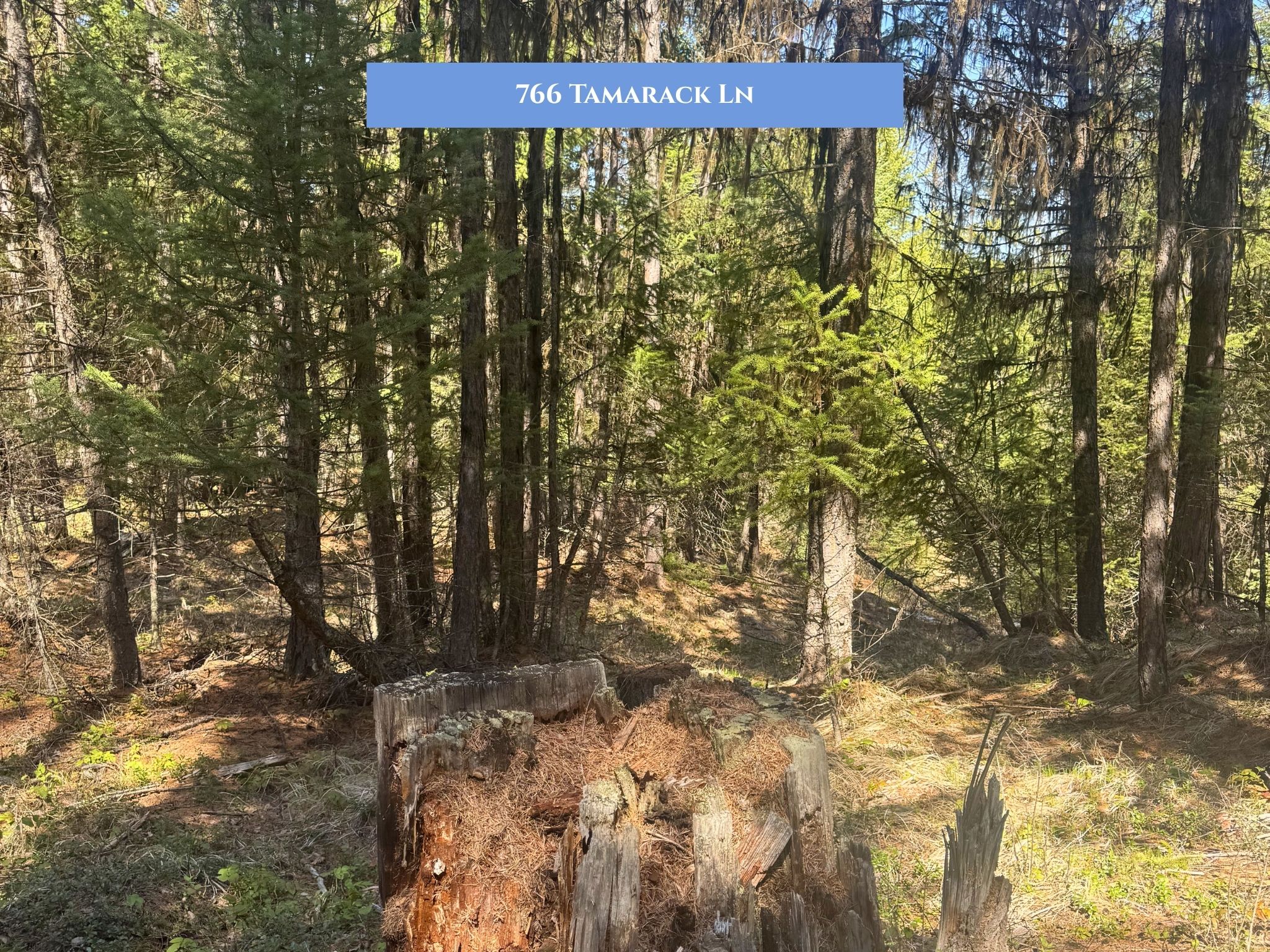 Lot 14 Tamarack Lane