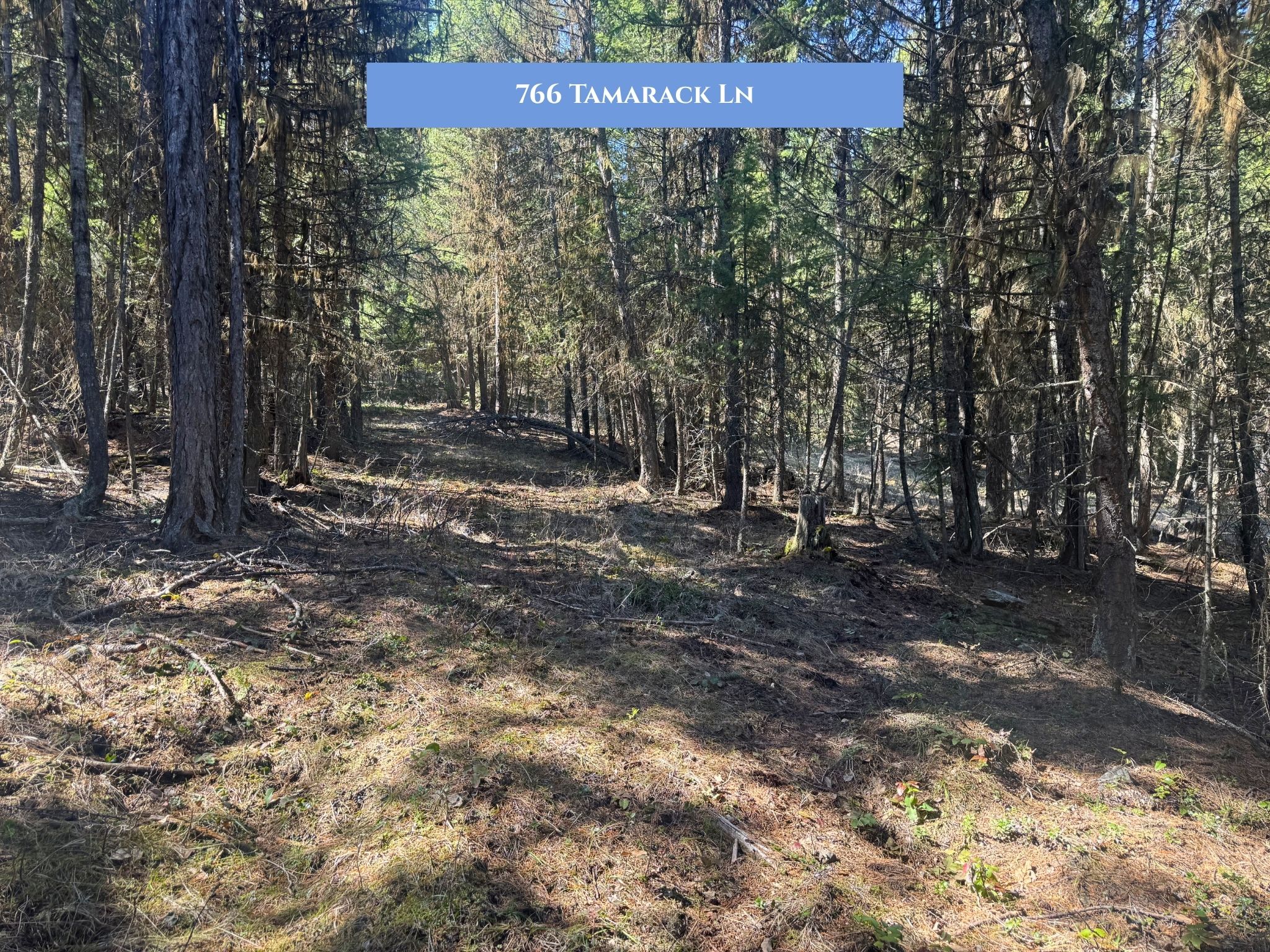 Lot 14 Tamarack Lane
